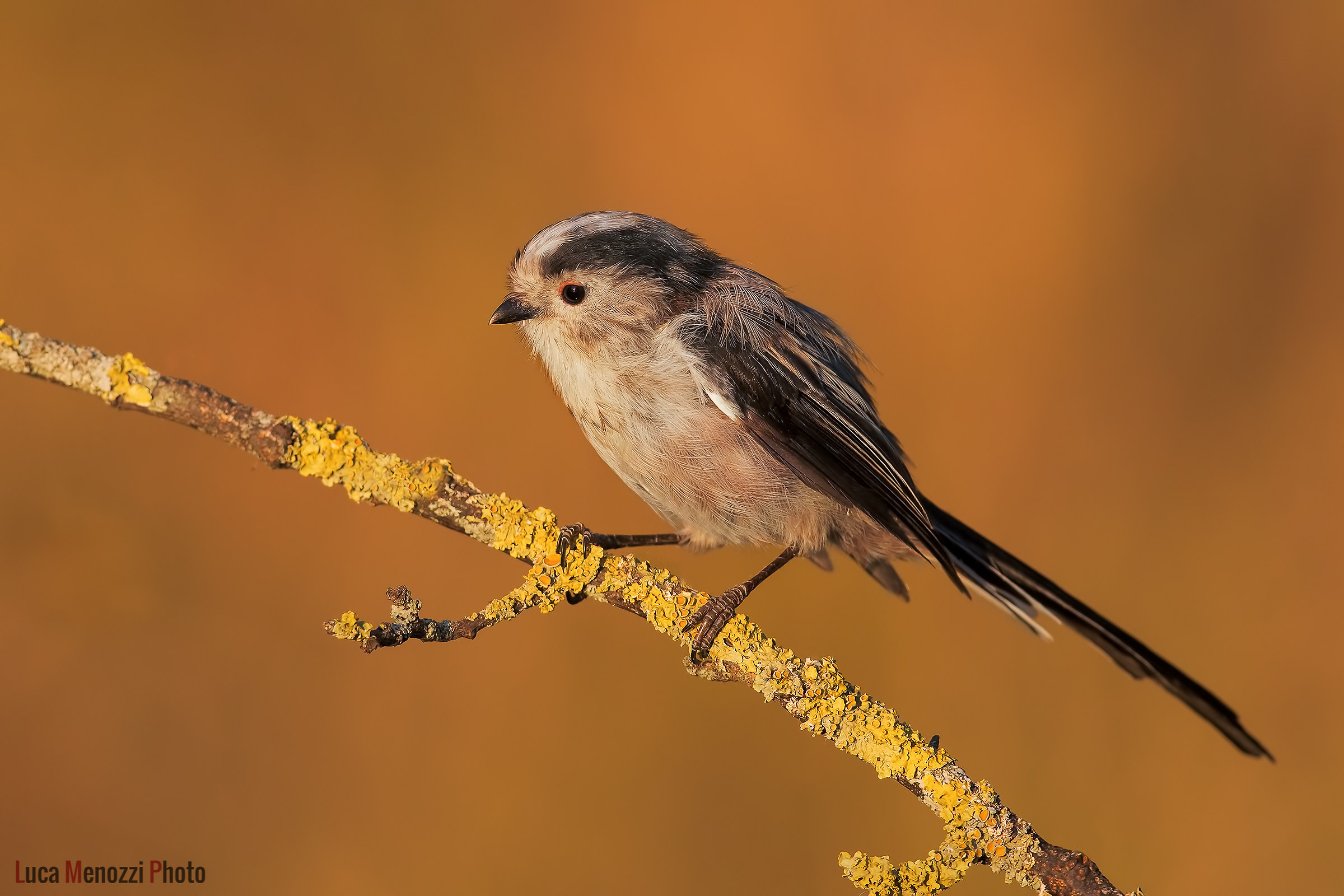 The sunset of the Codibugnolo