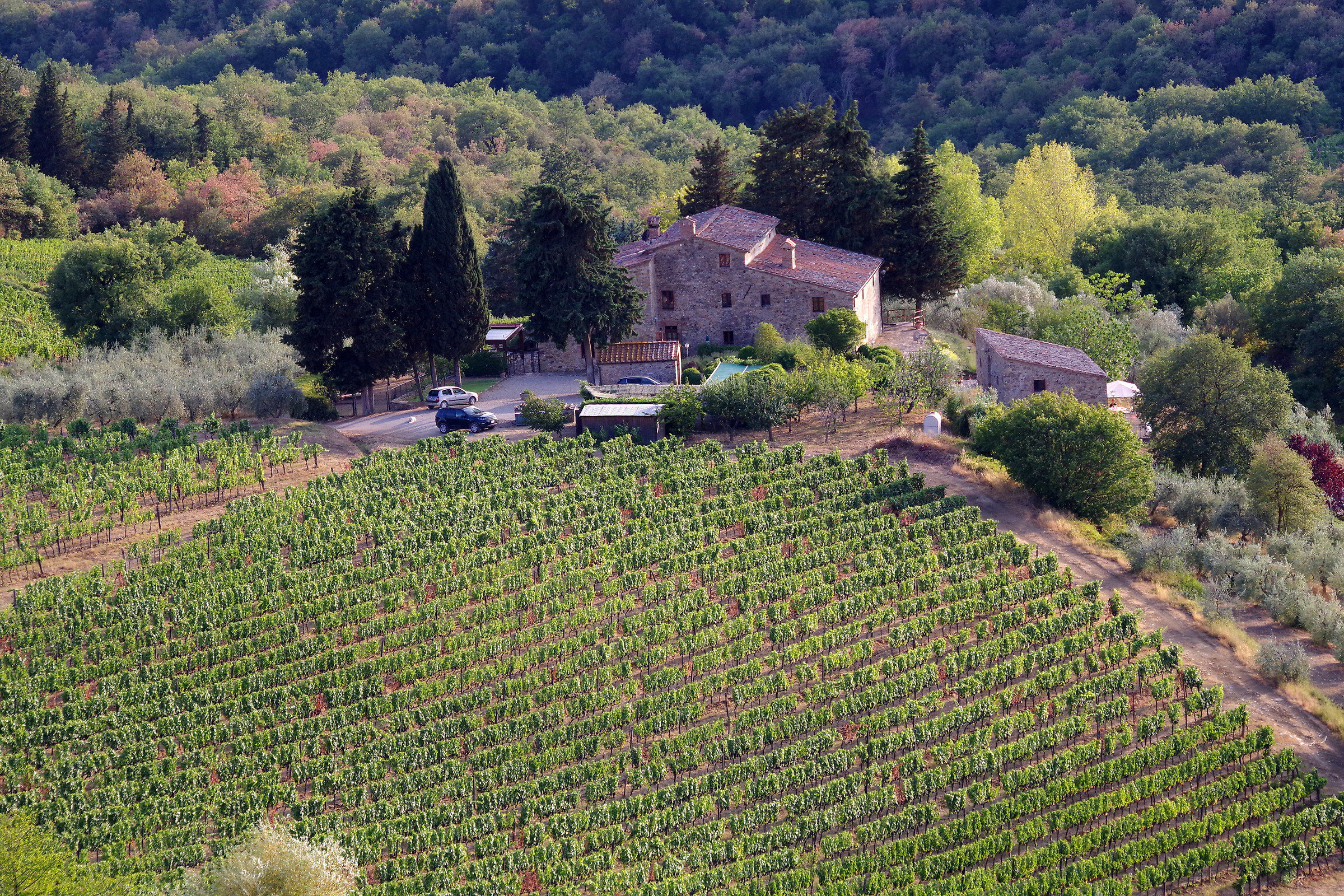 Campagna Chiantigiana