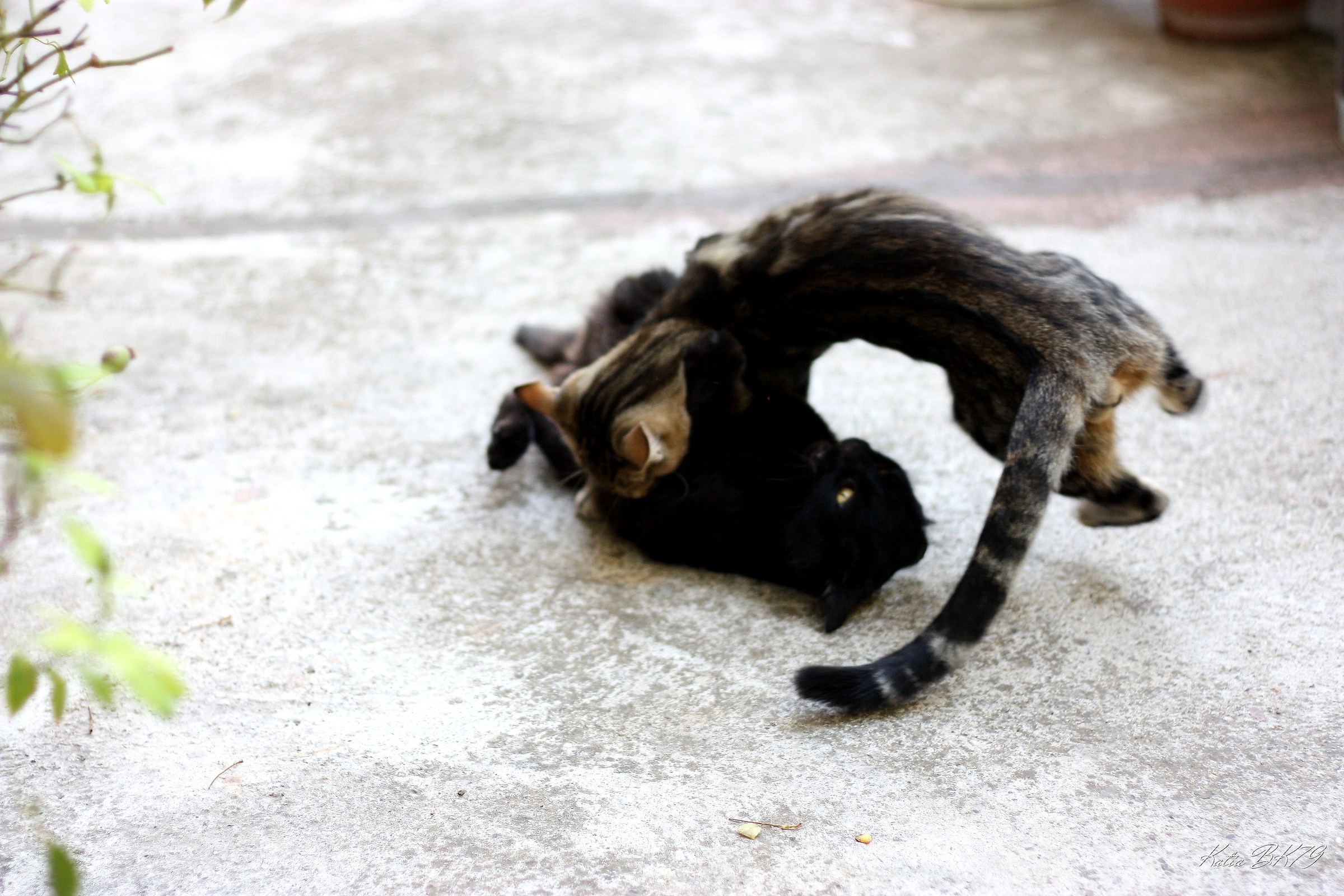 Giochi in famiglia 1