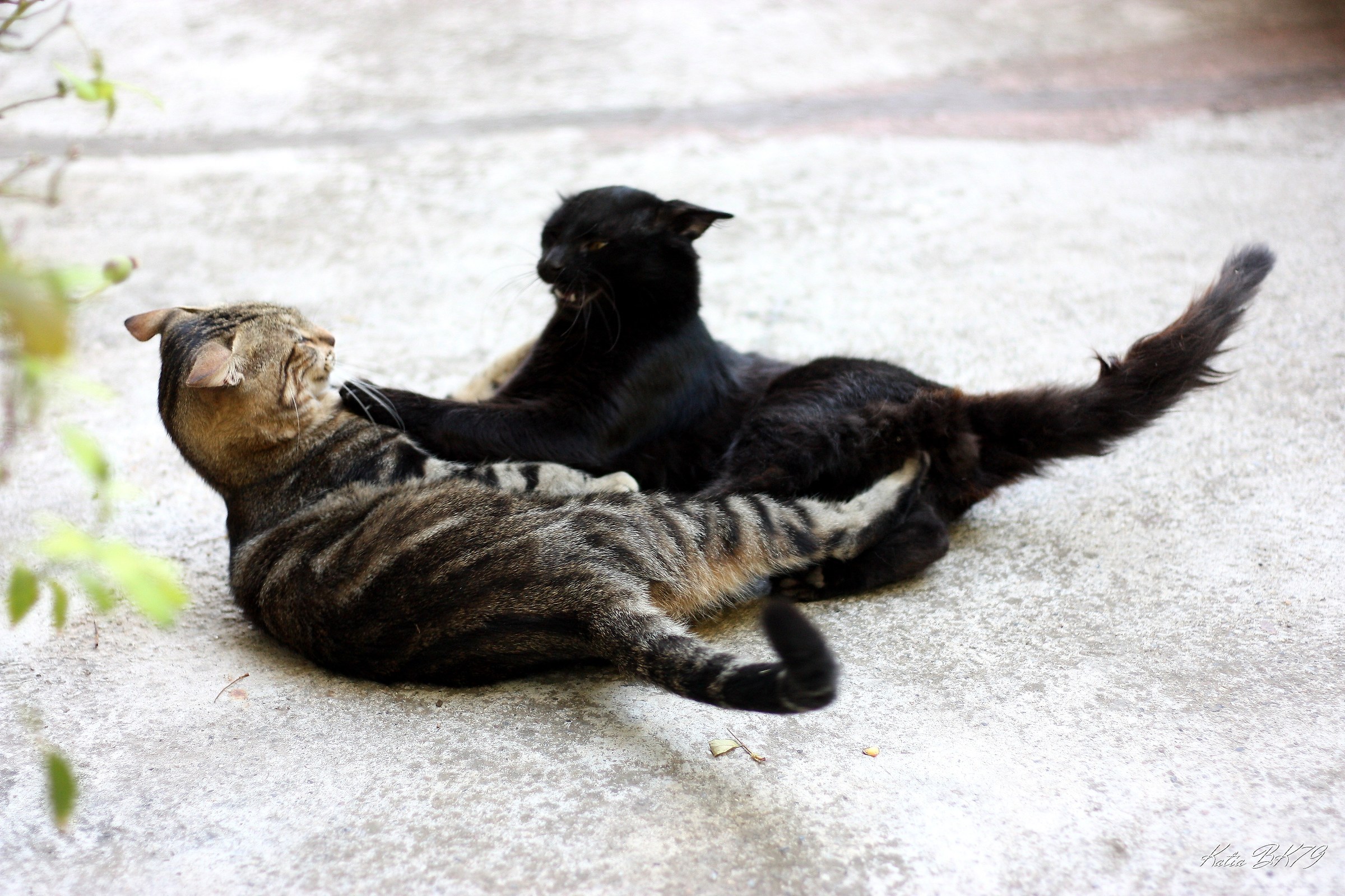 Giochi in famiglia 2