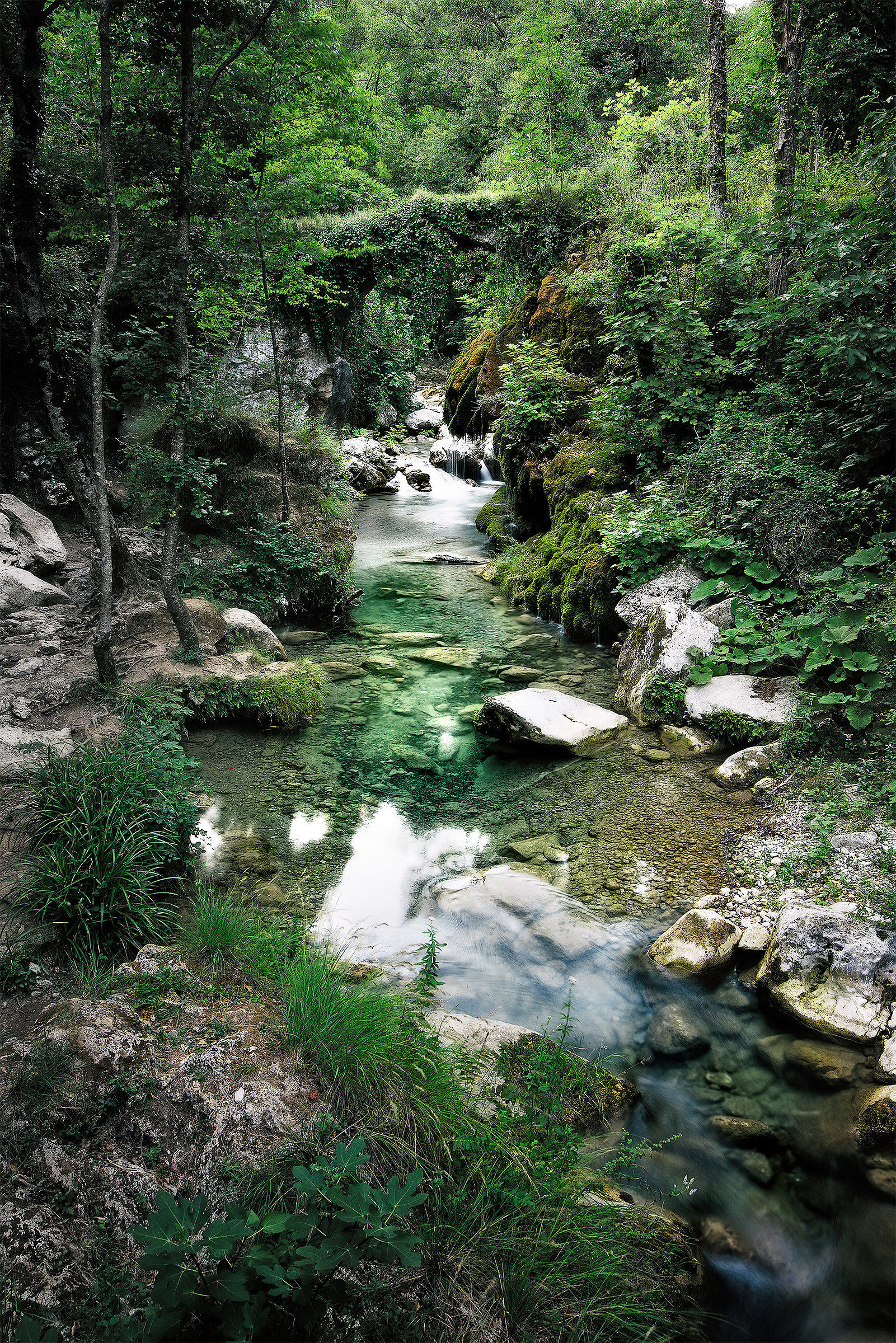 Venus Falls - Scorcio