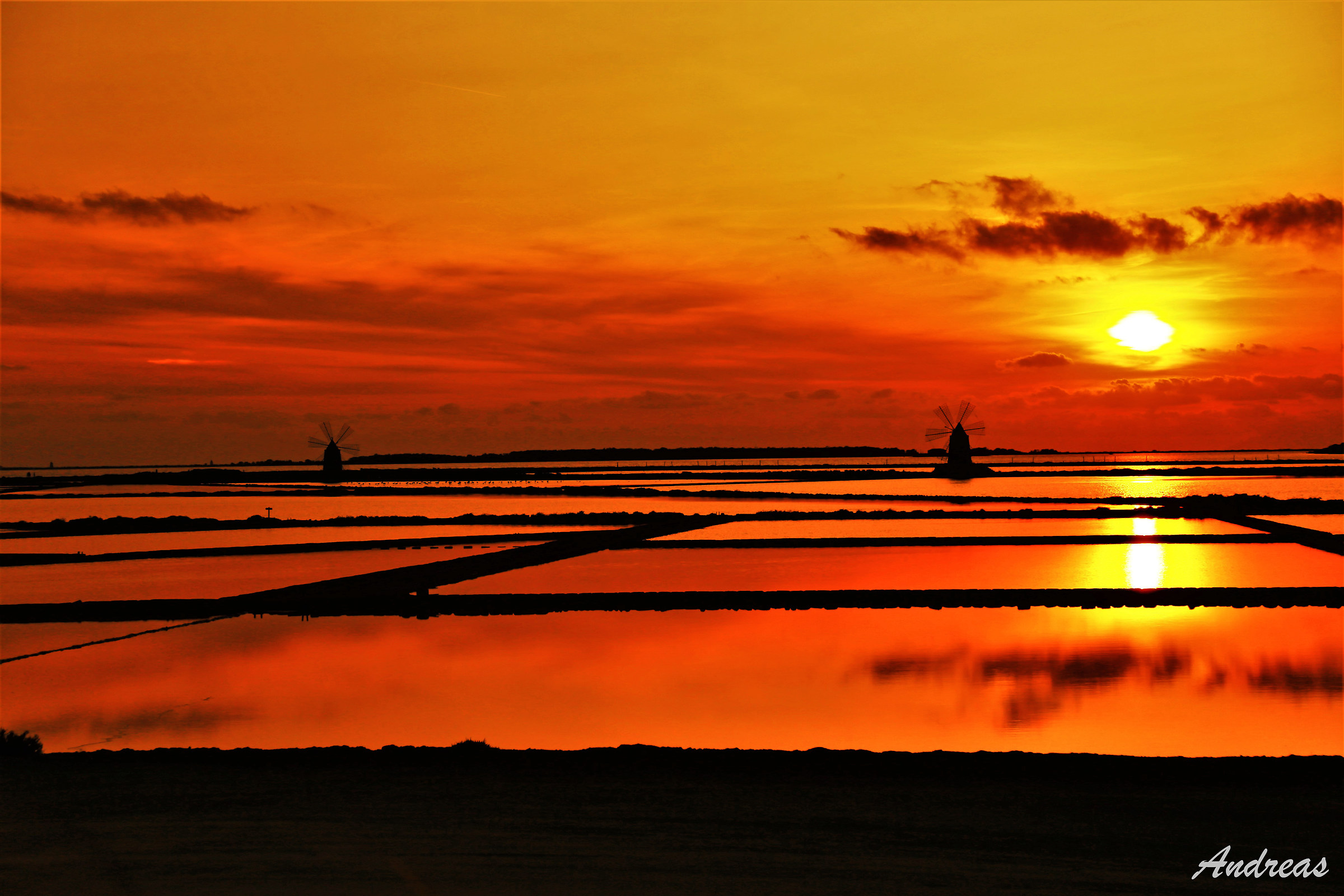 We should all have a sea life view