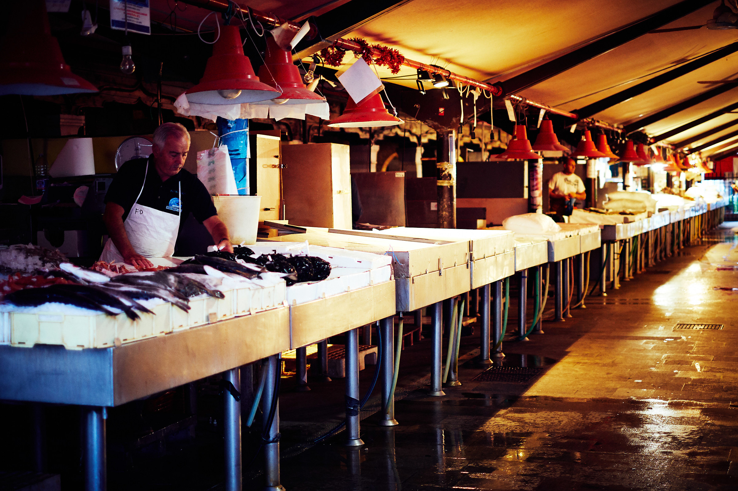 Fish cauldron preparation 2