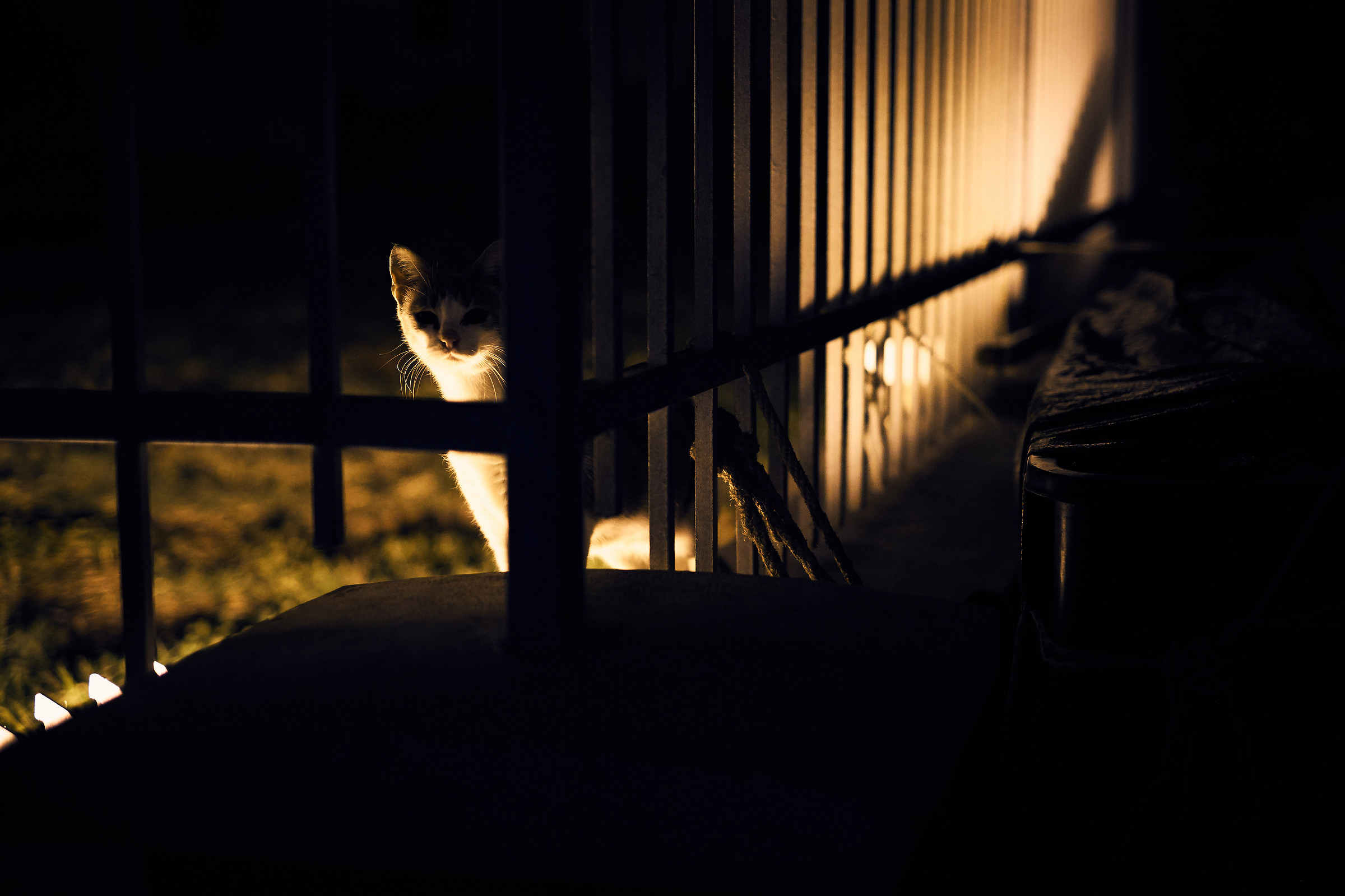 Waiting for the opening of the fish market