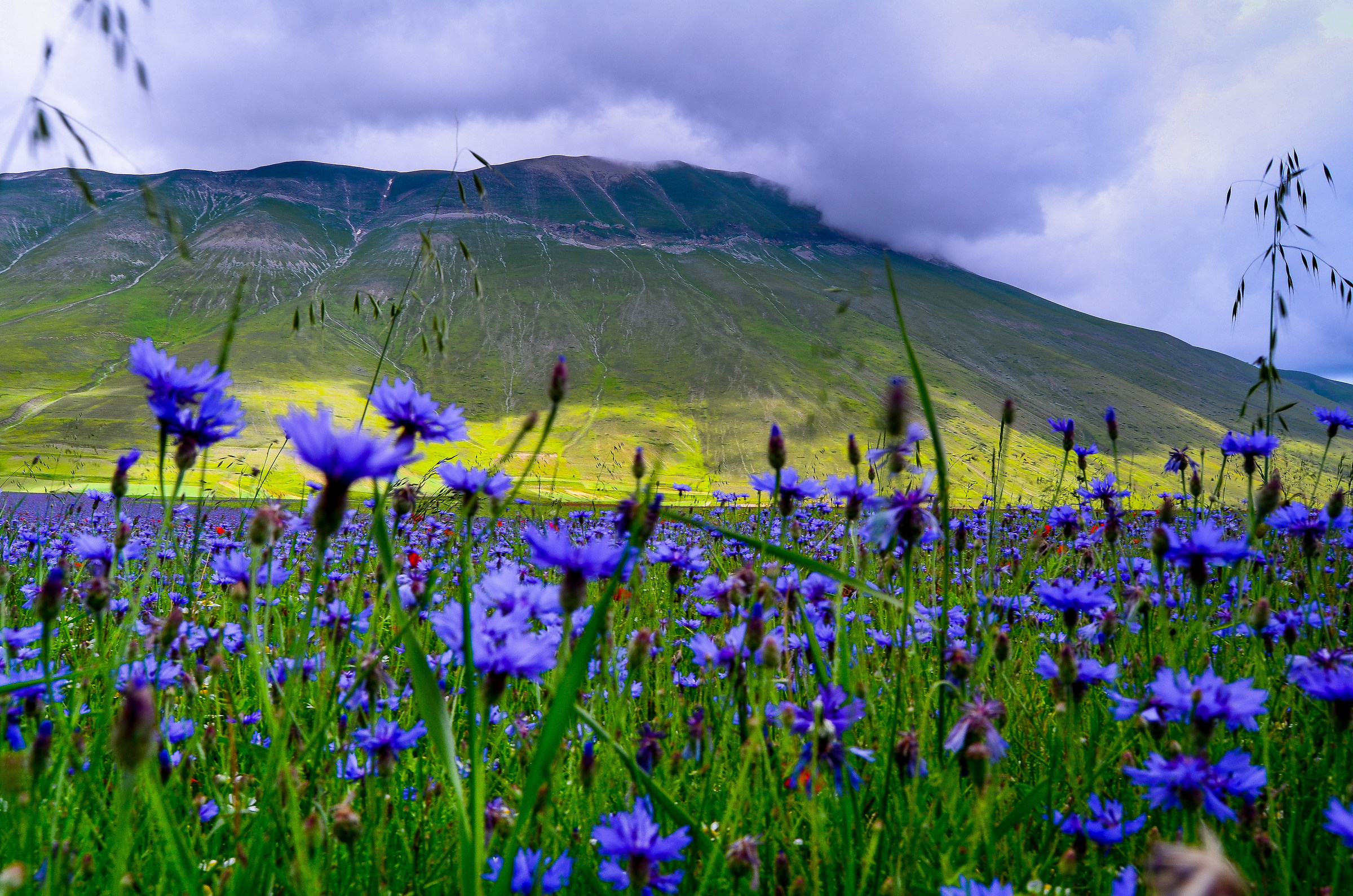 Castelluccio Monte Vettore