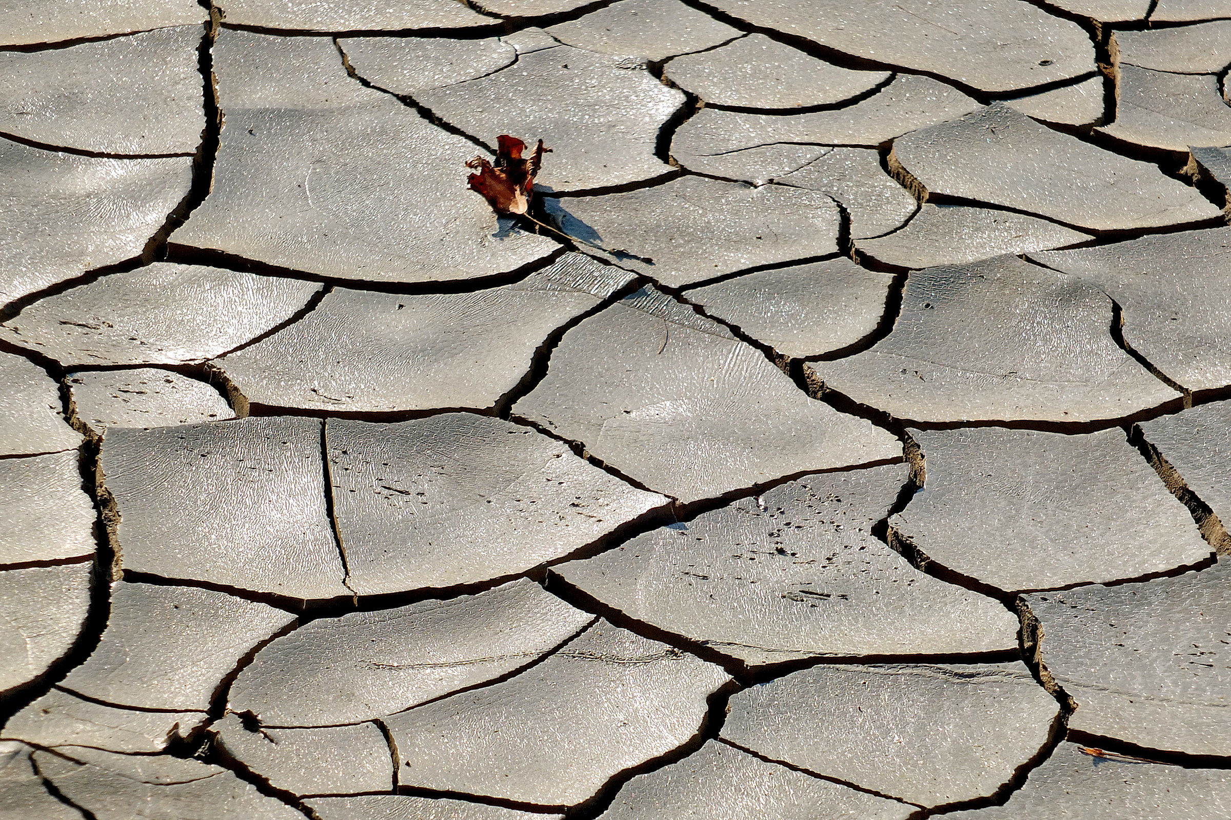 Dove c'era l'acqua...