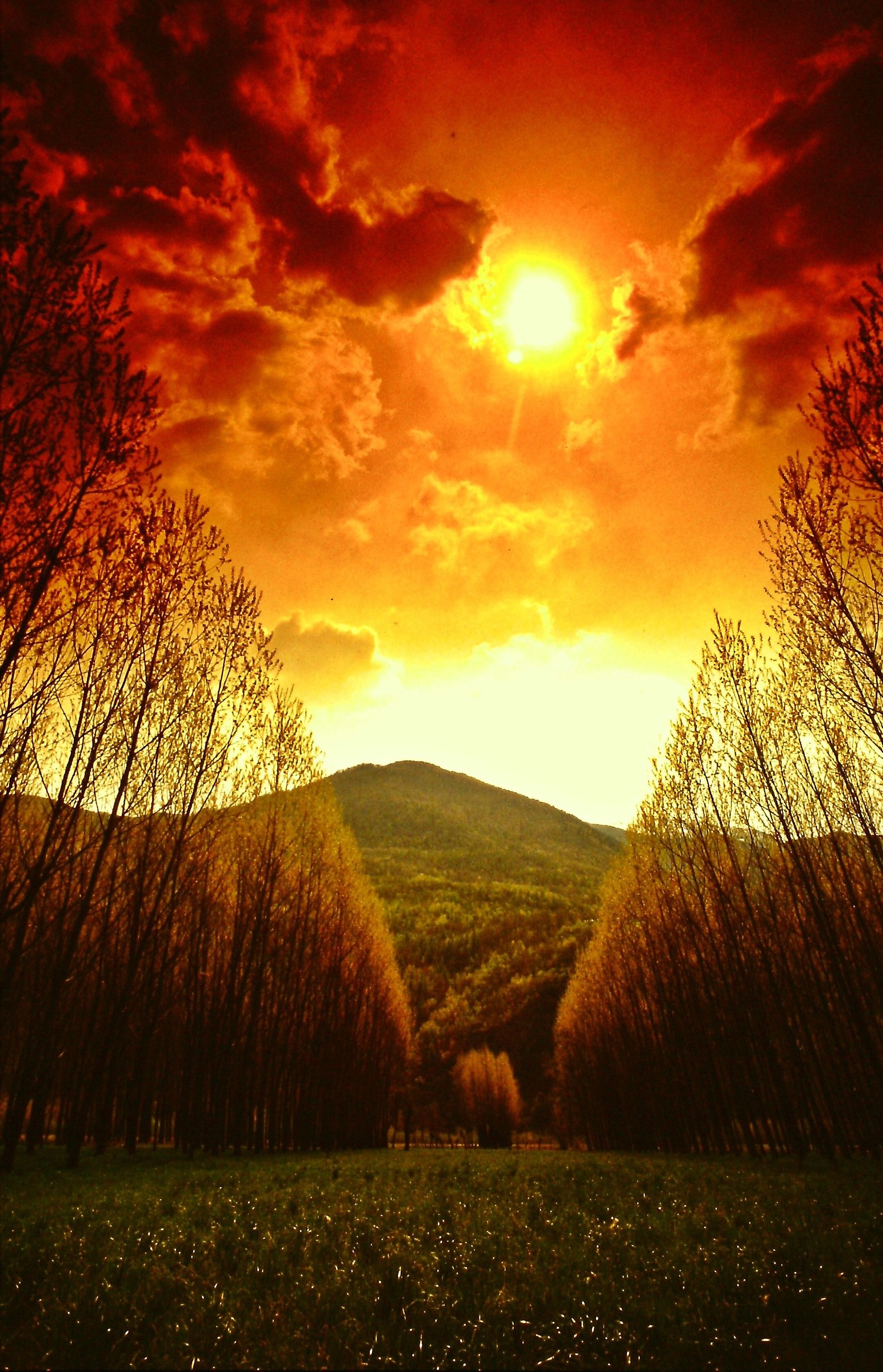 154 - cieli apocalittici - SO Bianzone presso Tirano