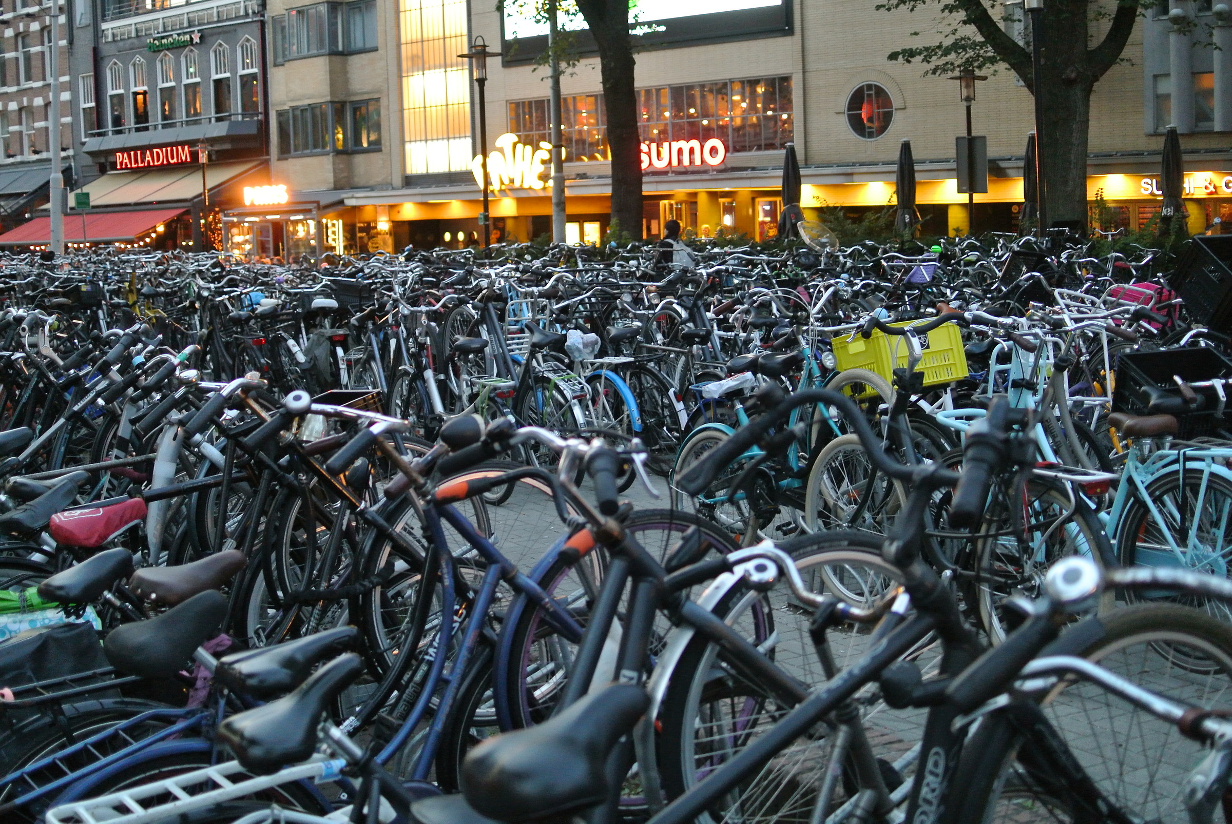 2 Amsterdam: where bicycles are really used