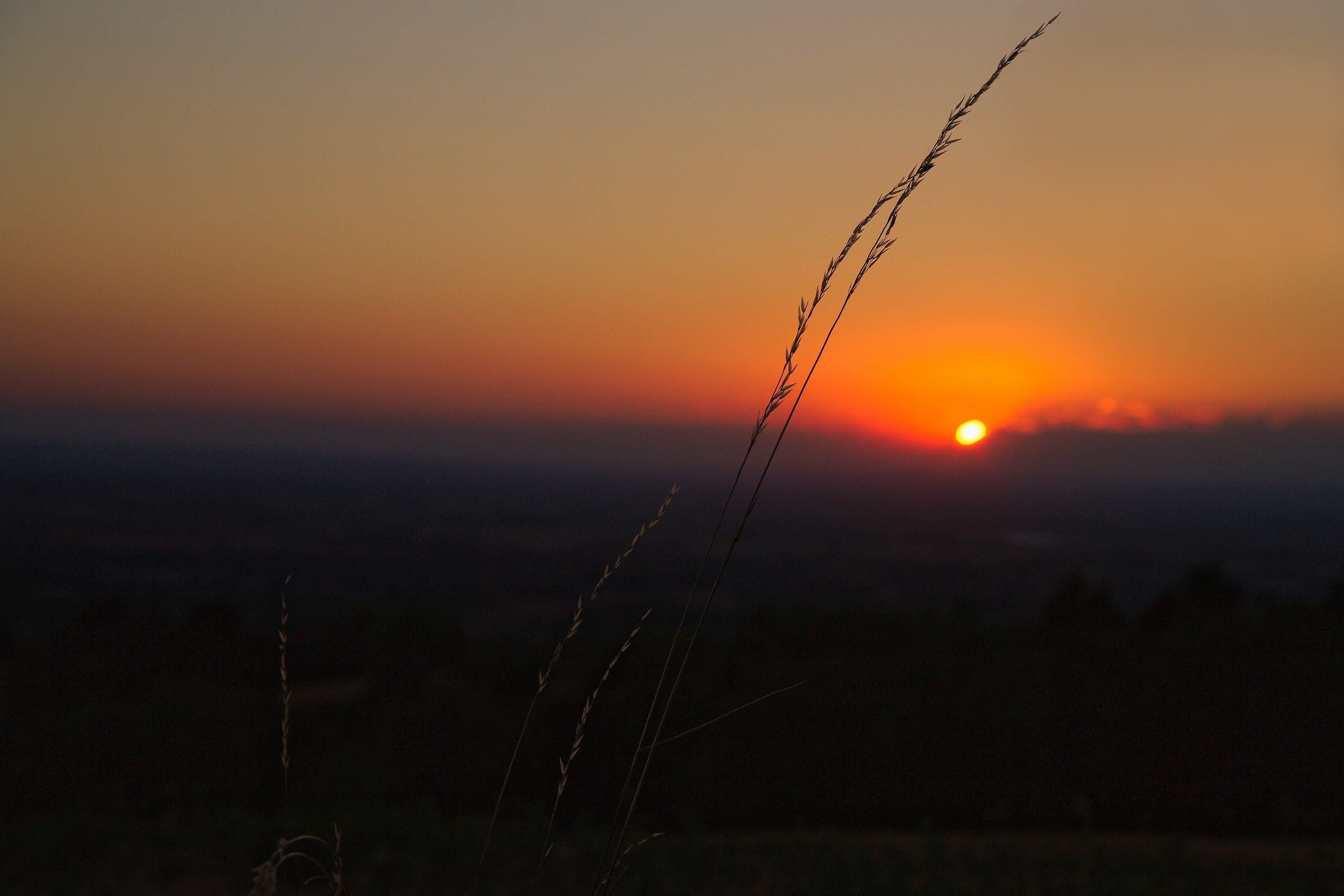 Tramonto sulla campagna tortonese