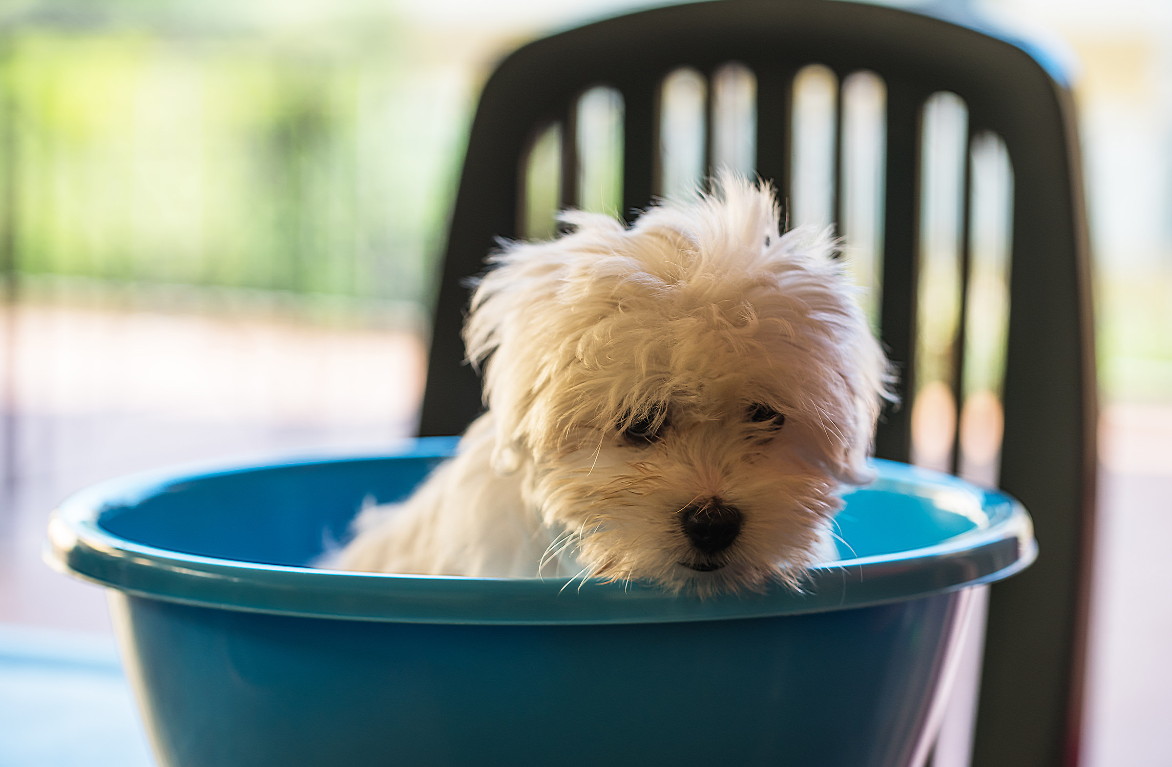 It's time to bathe ...