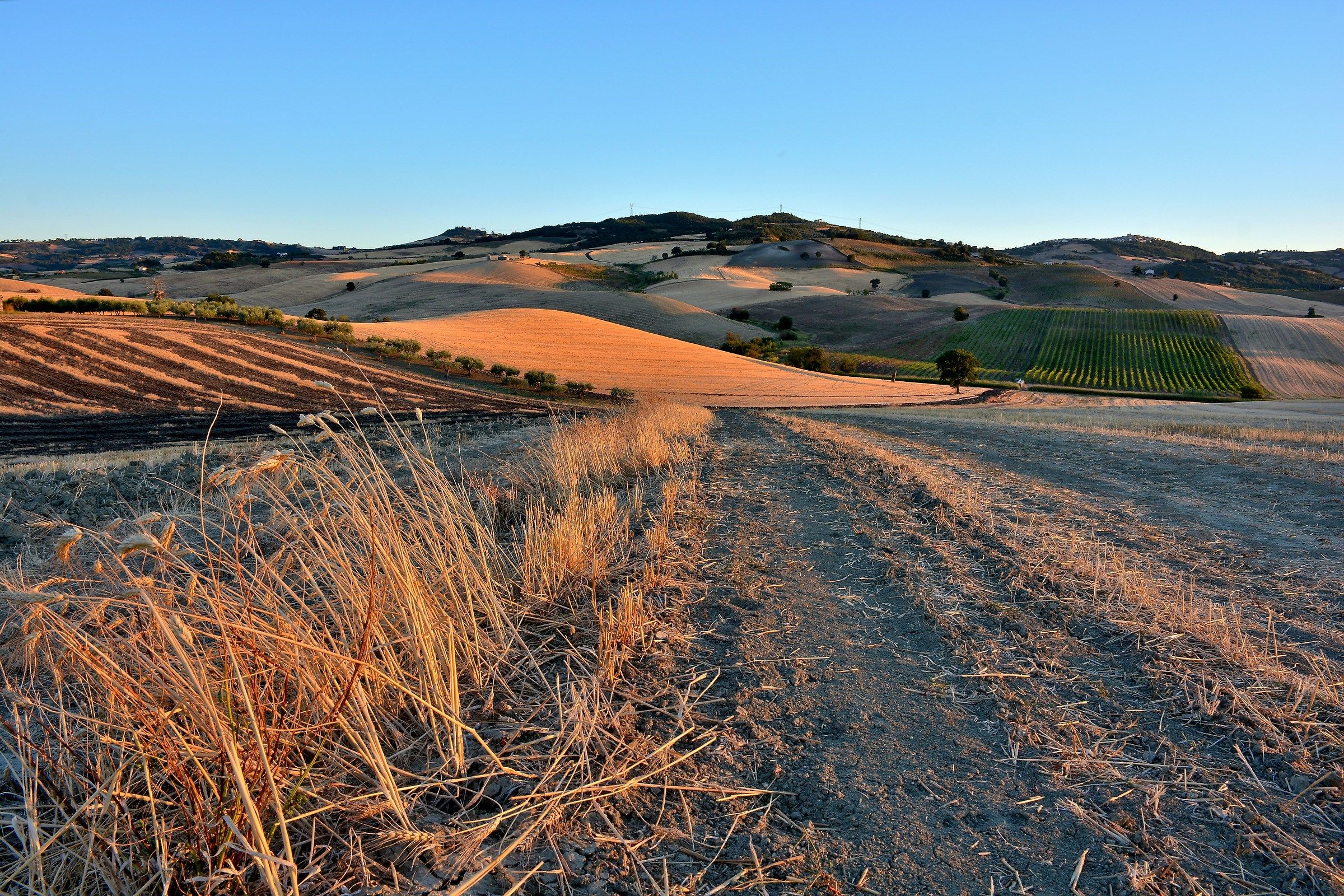 Il Tramonto dei Superstiti