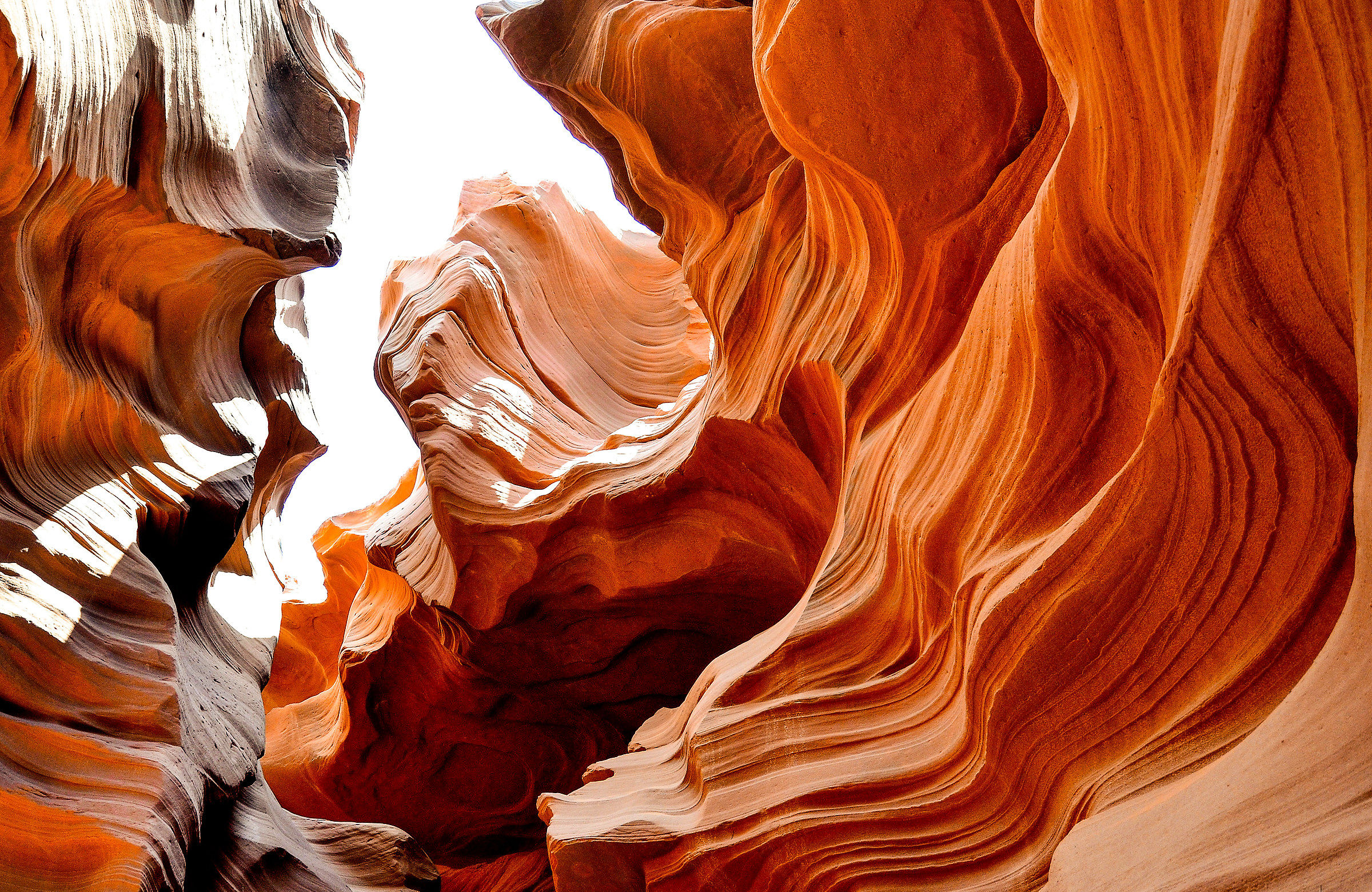 Armonie della natura 1