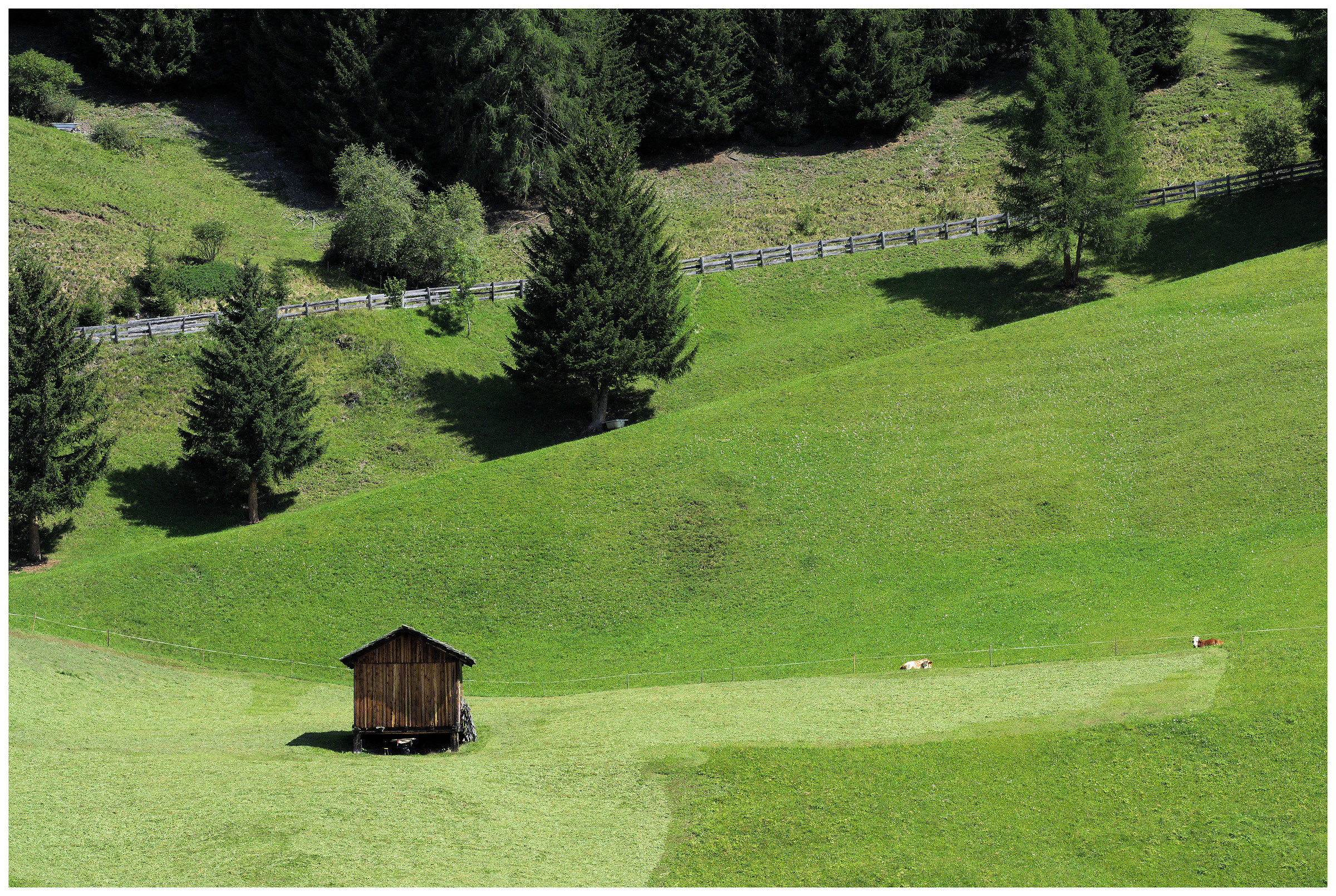 pascolo in loc. La Val