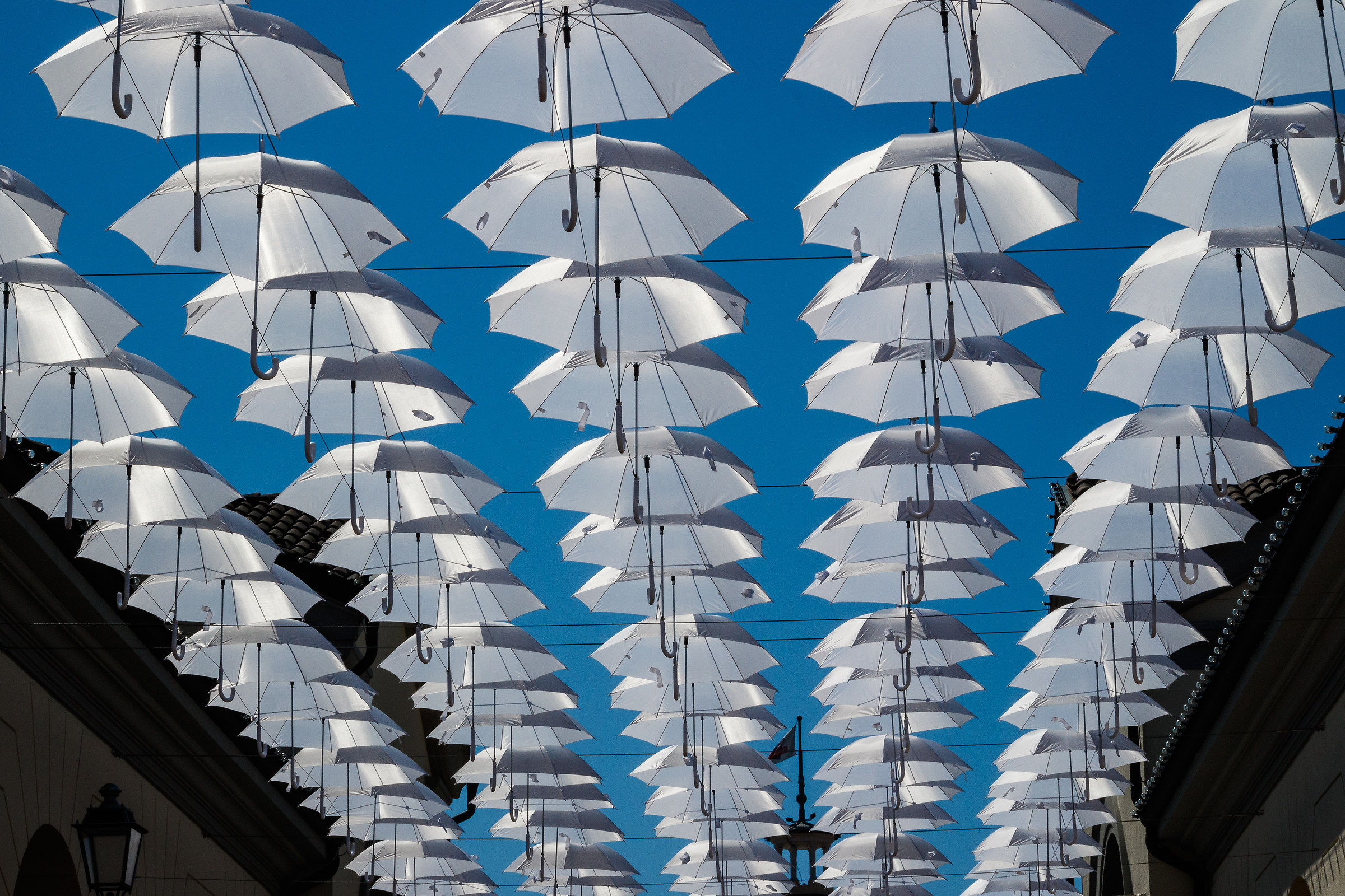 Umbrellas in the sun