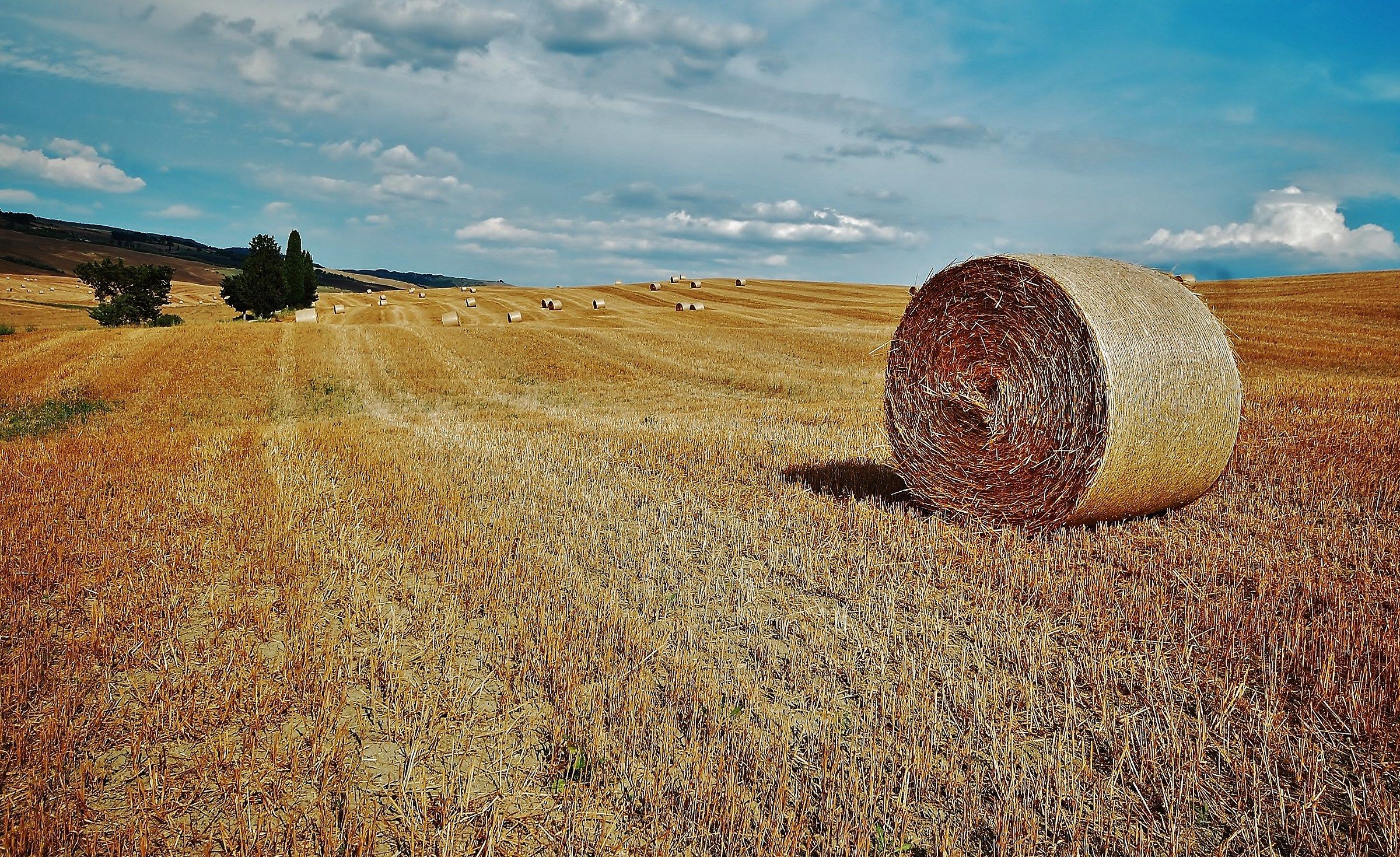 La metafora delle " balle " di fine estate.