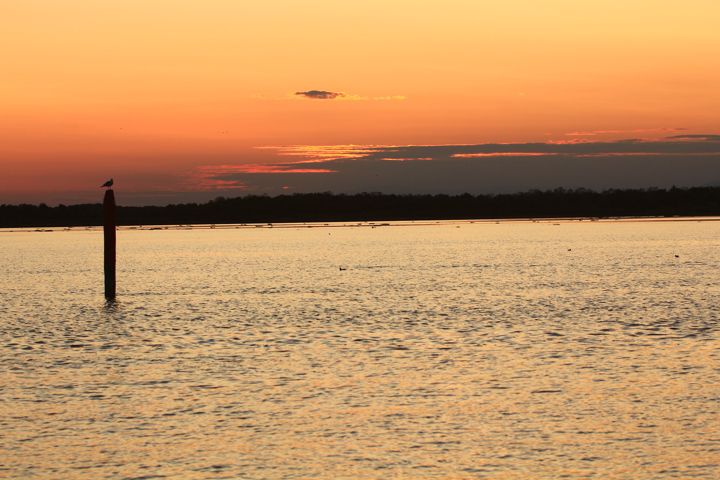 Sunset in the Lagoon 2