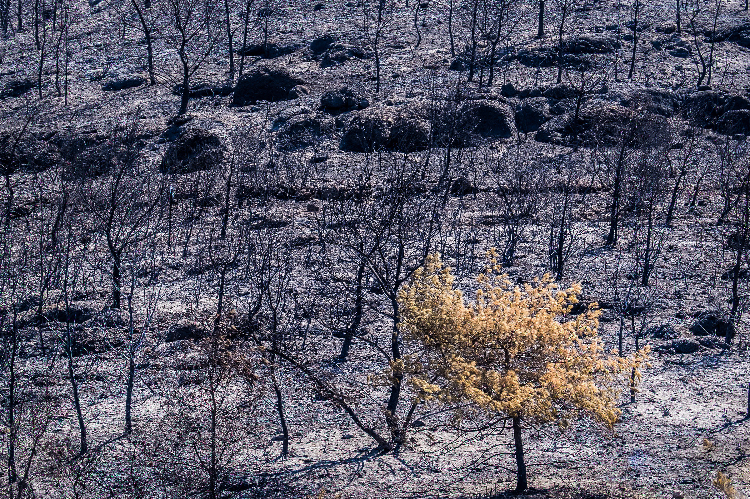Lunar landscapes created by man