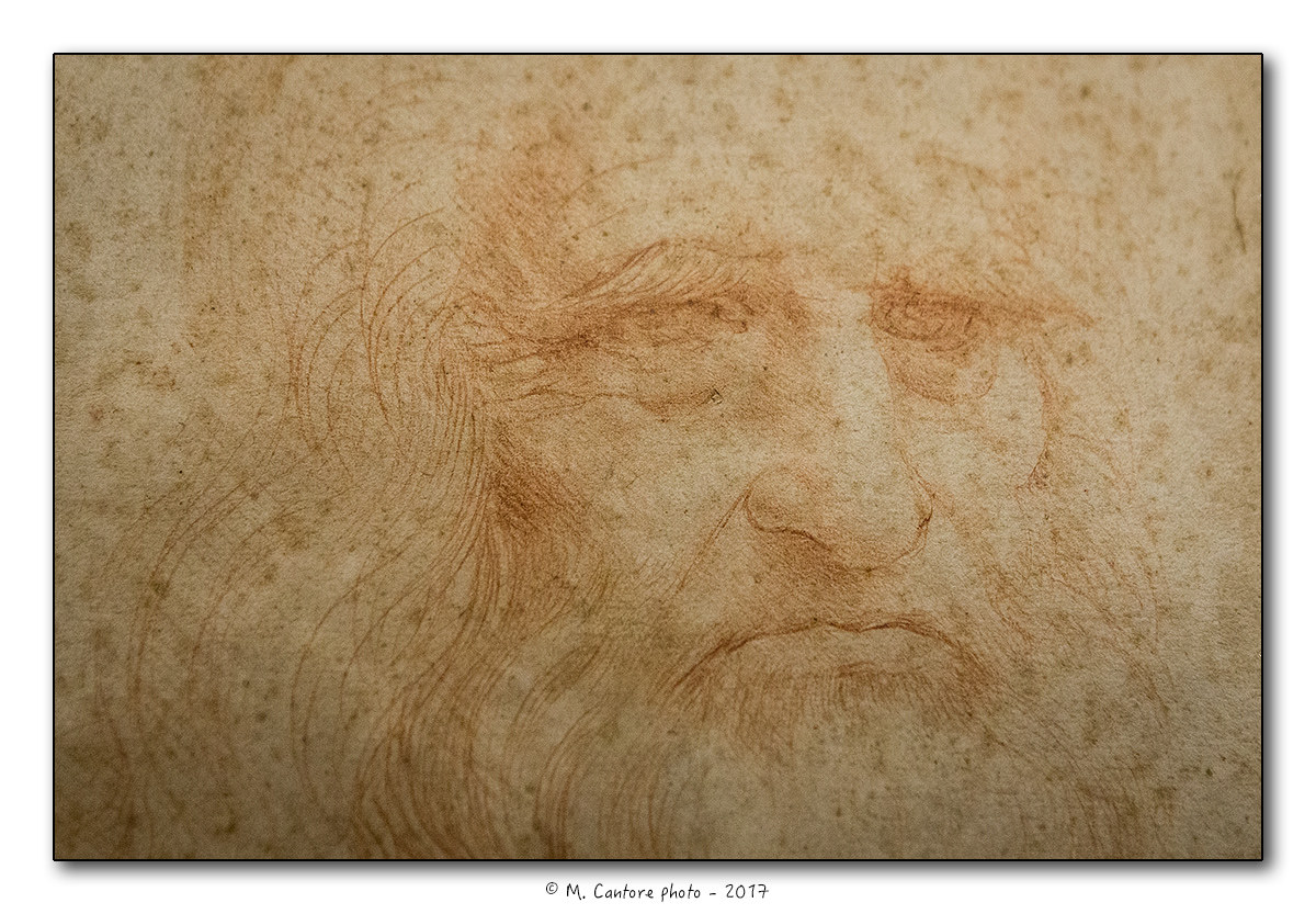 Self-portrait of Leonardo da Vinci - Detail