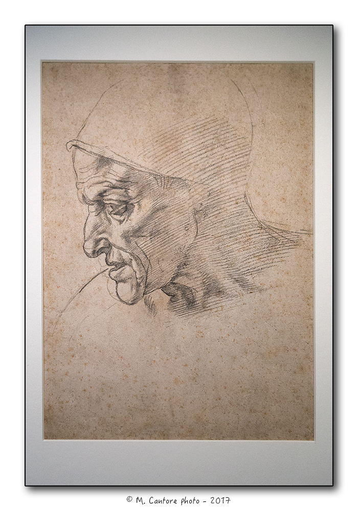 Michelangelo Buonarroti - Studio for the Sibilla Cumana