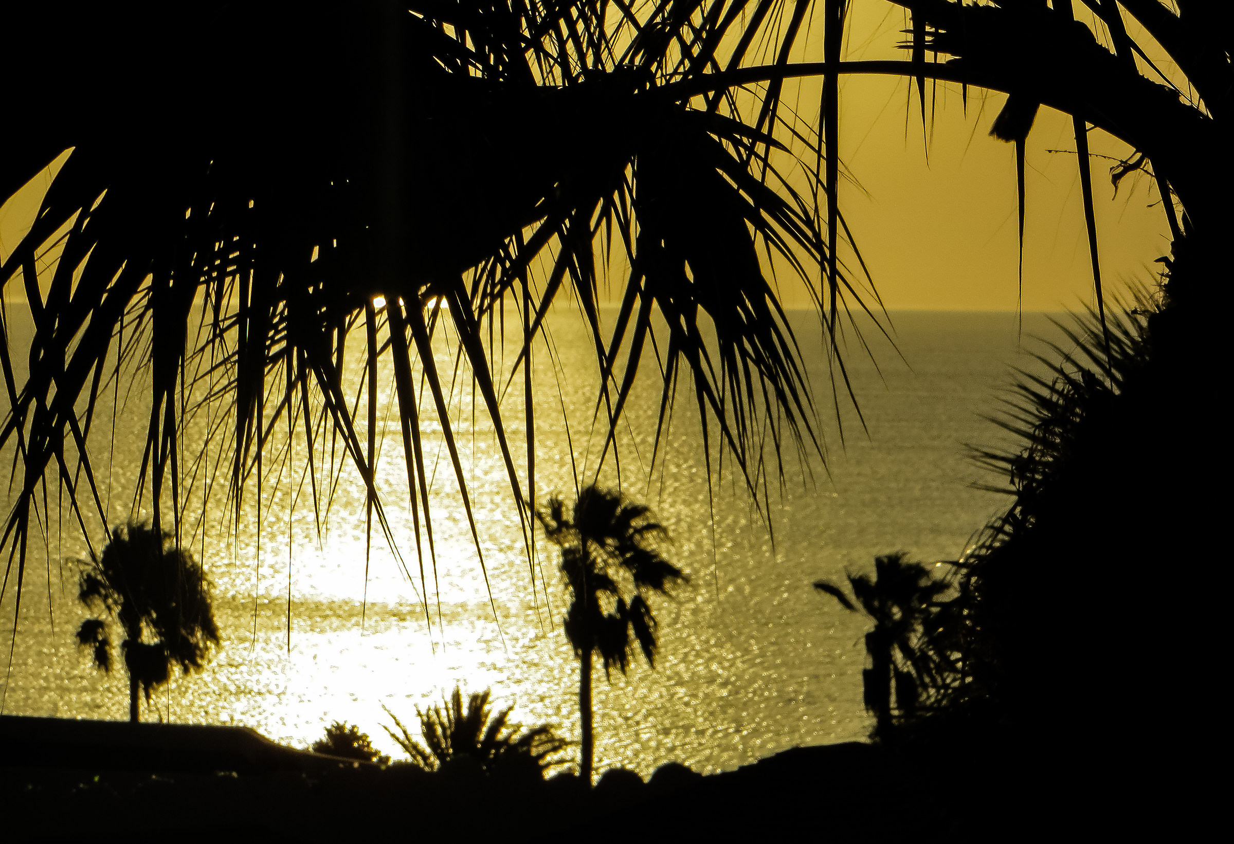 L'alba dell'utimo giorno