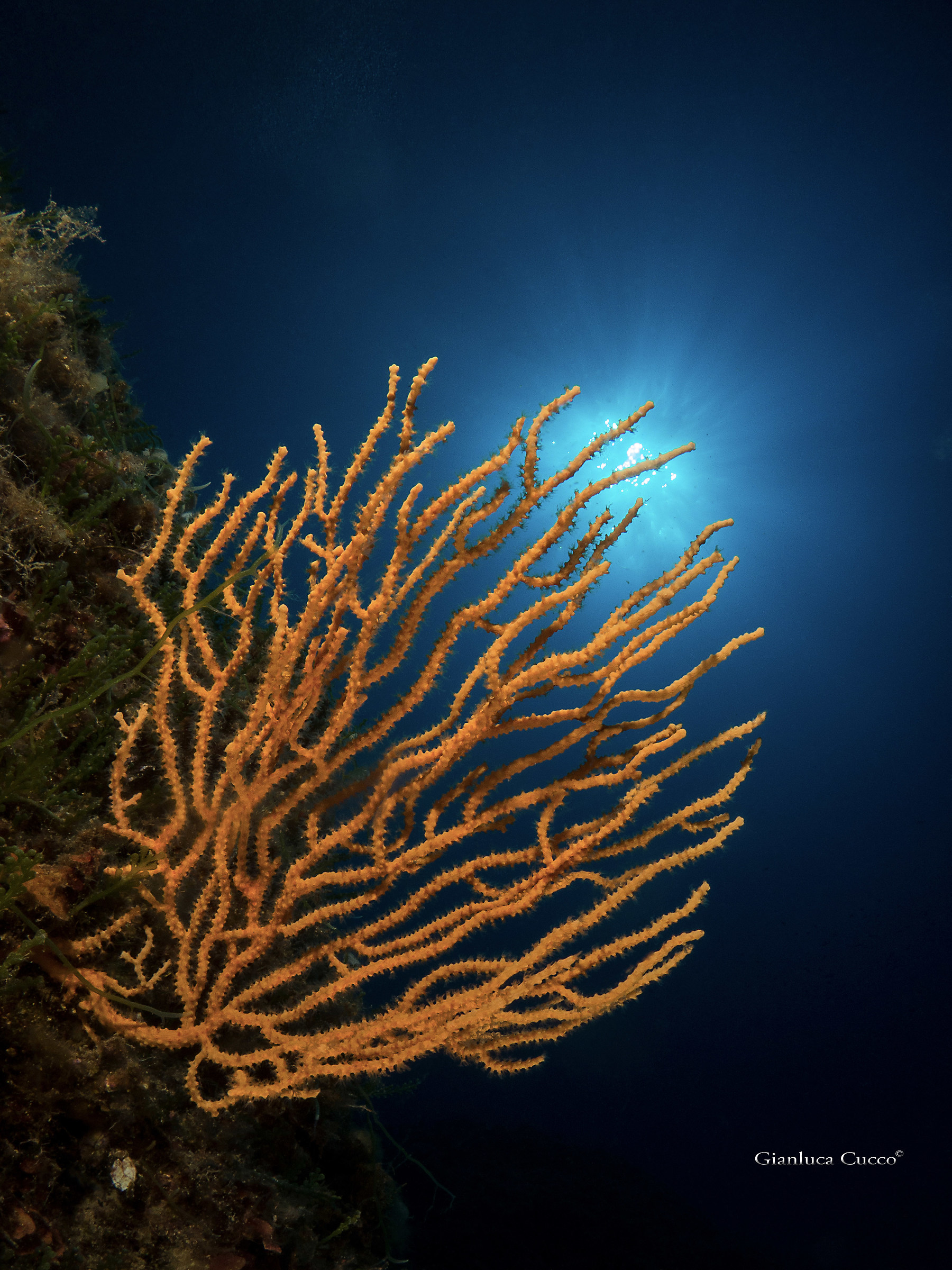 Conjunction of the sun