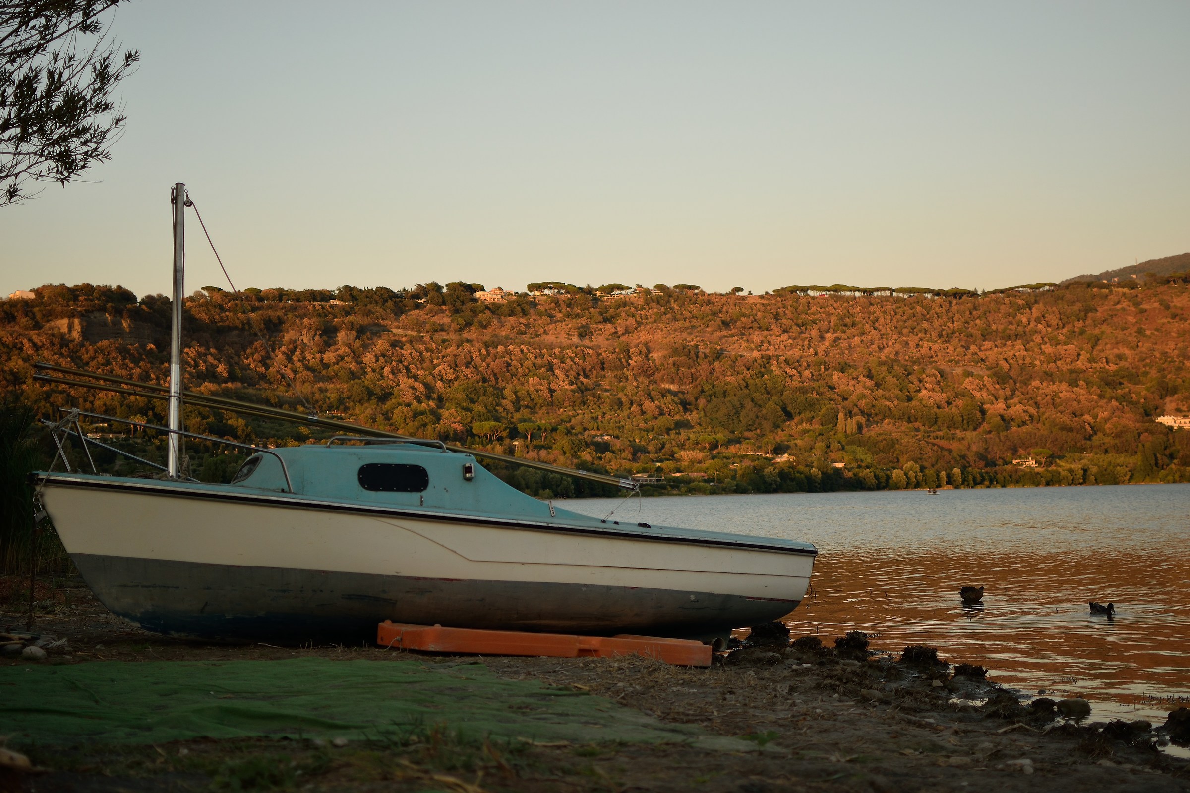 The colors of the evening
