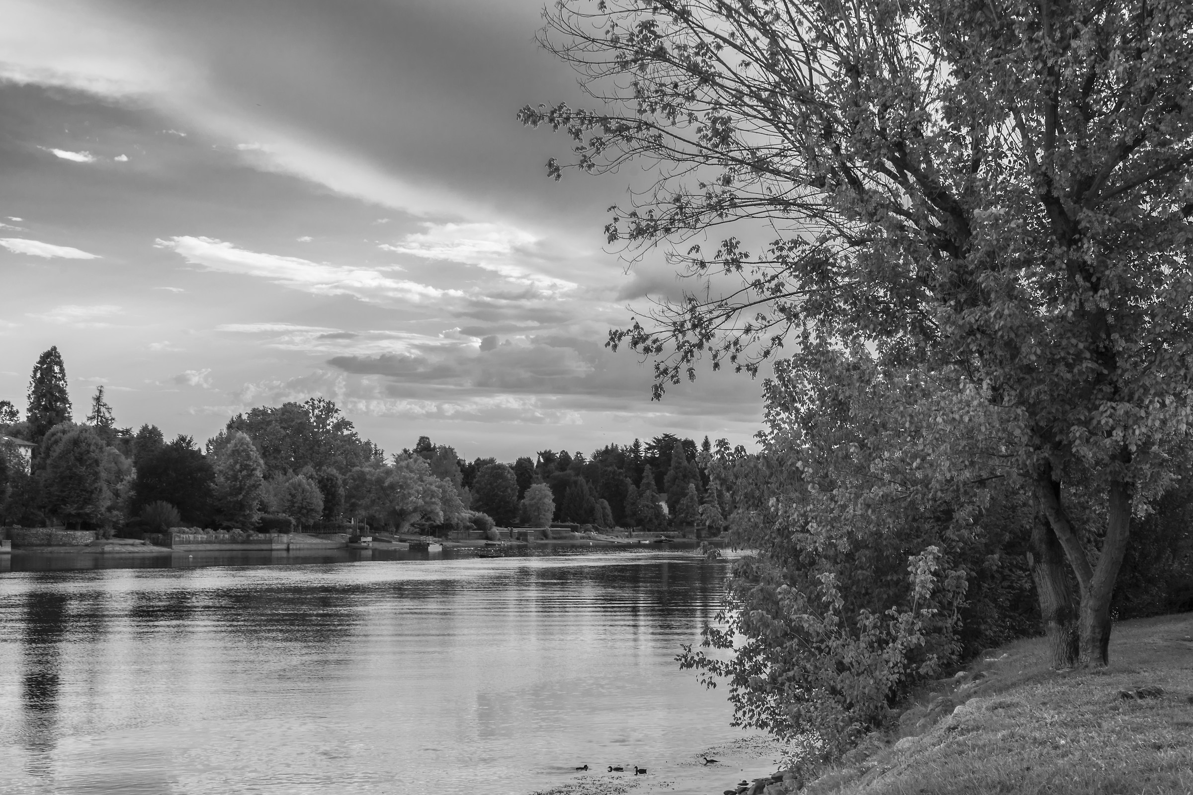 Alzaia - Mercoledì 23 agosto 2017, 18:32 - Monochrome