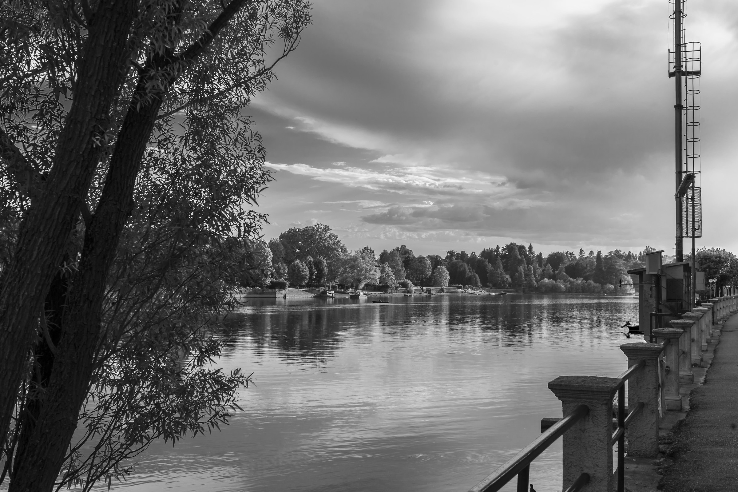 Alzaia - Mercoledì 23 agosto 2017, 18:37 - Monochrome