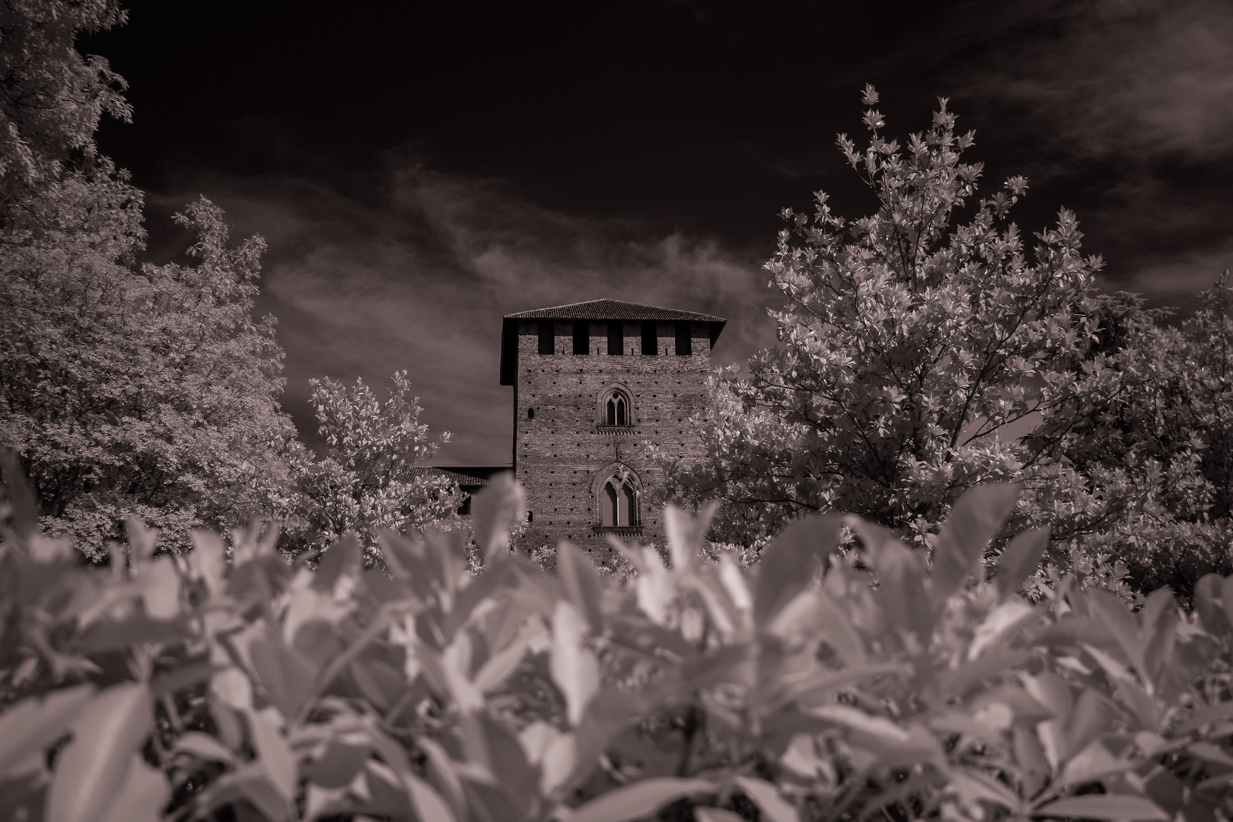 Scorcio Castello di Pavia