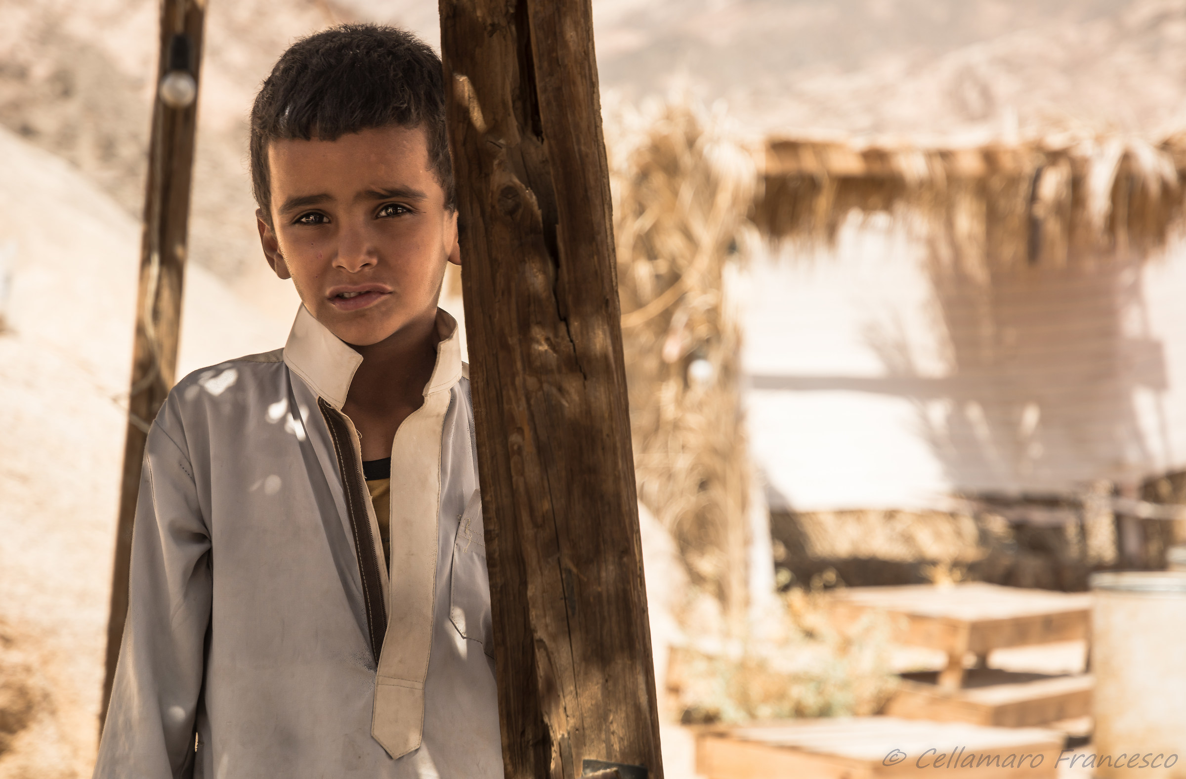Bedouin in the Sinai desert