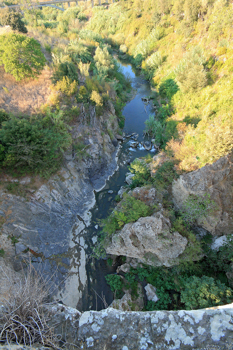 From the Abbey Bridge