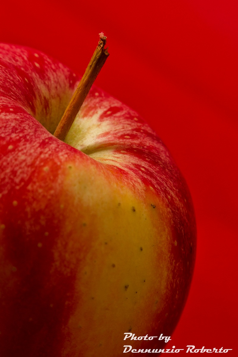 marleneeeeeeeeeeeeeeeee!