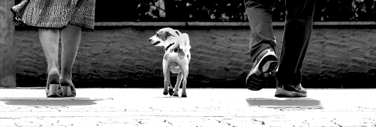 Always out of step ...