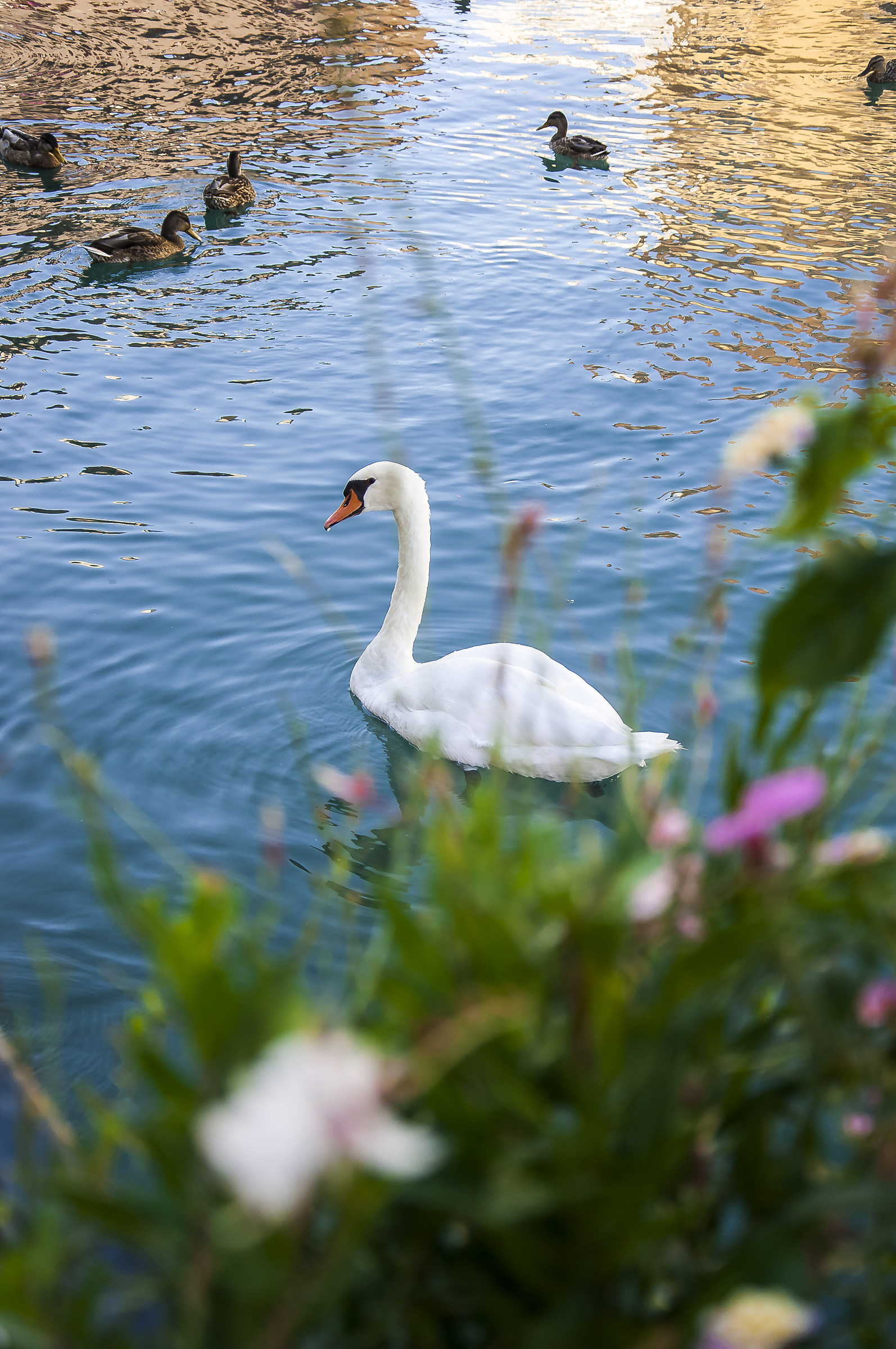 Che meraviglia...!!!!