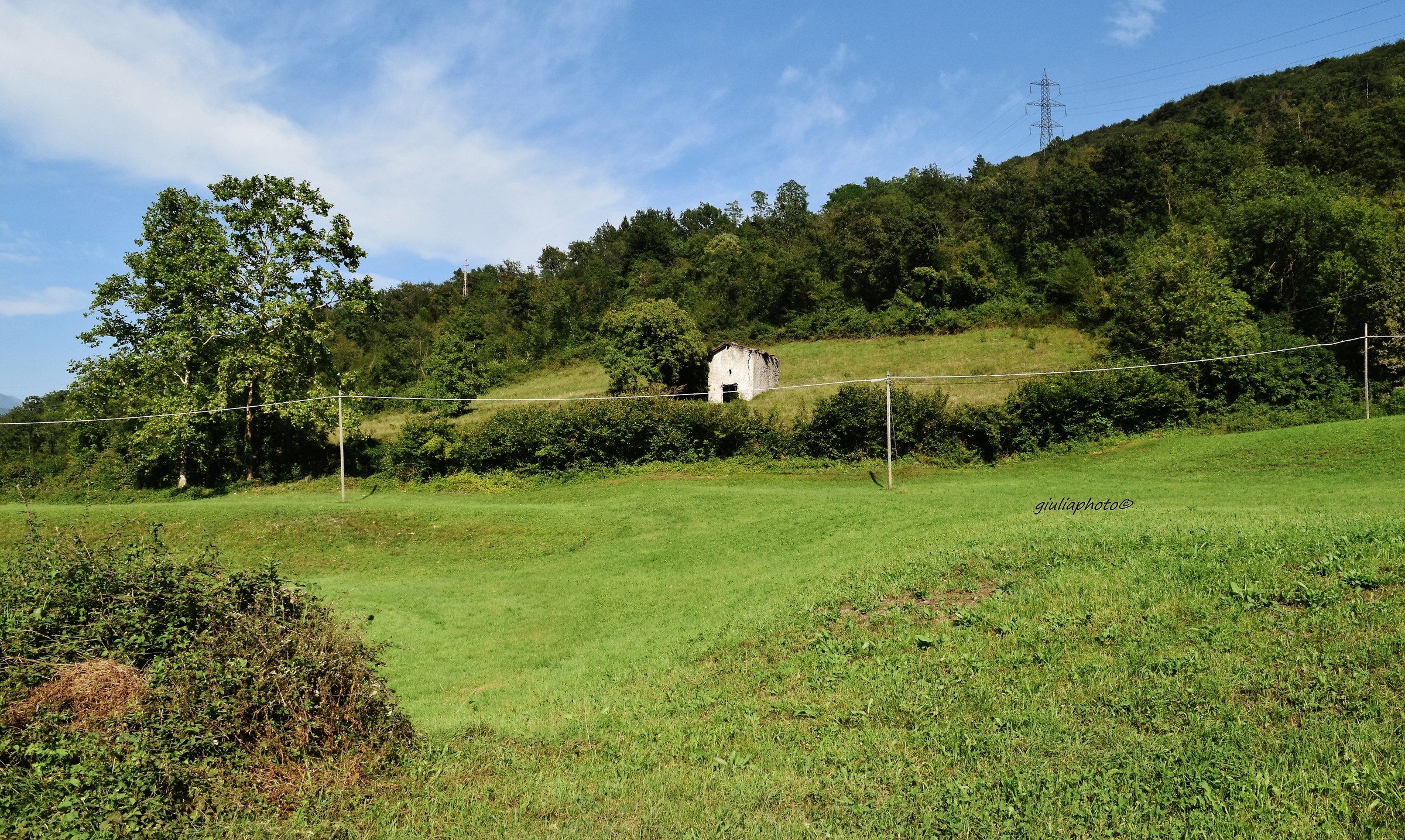 Hillside meadow (bg)
