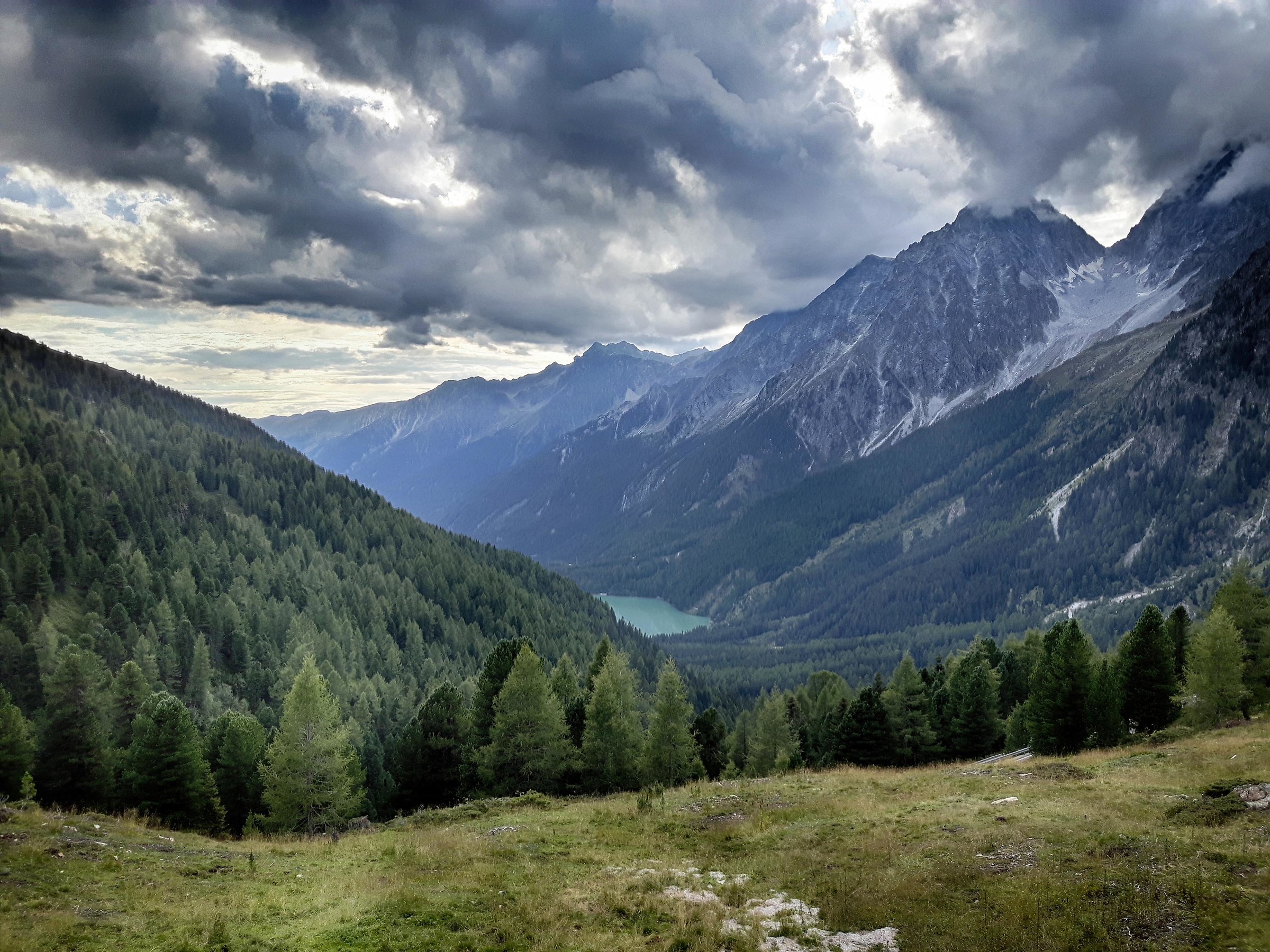 View from the Stage Pass