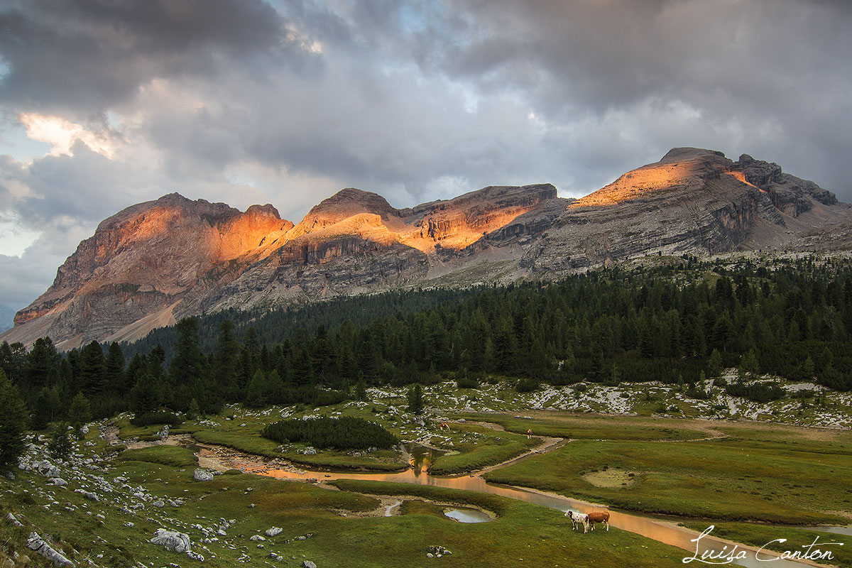 A Great Great Place ...