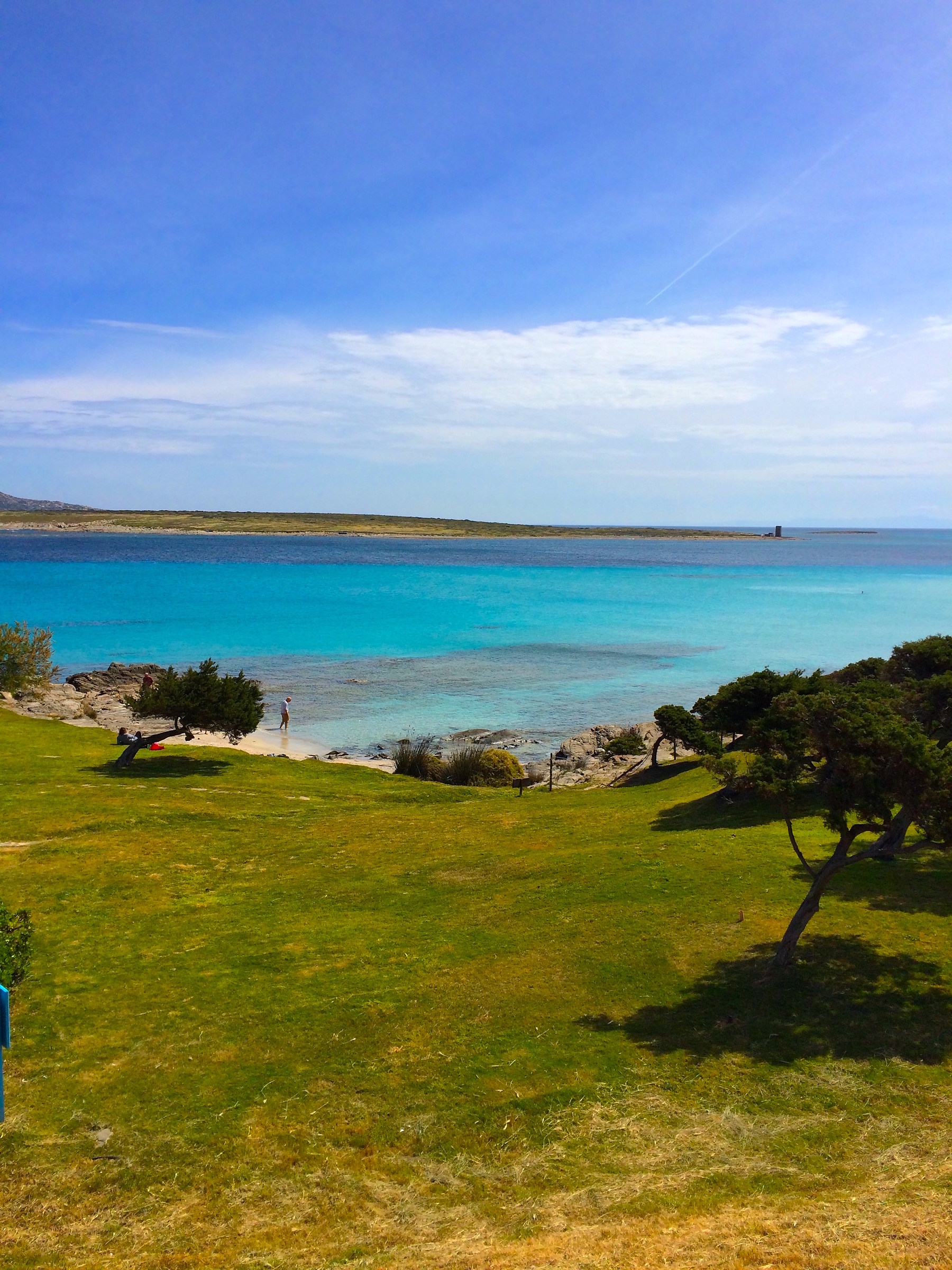 The green meets the blue