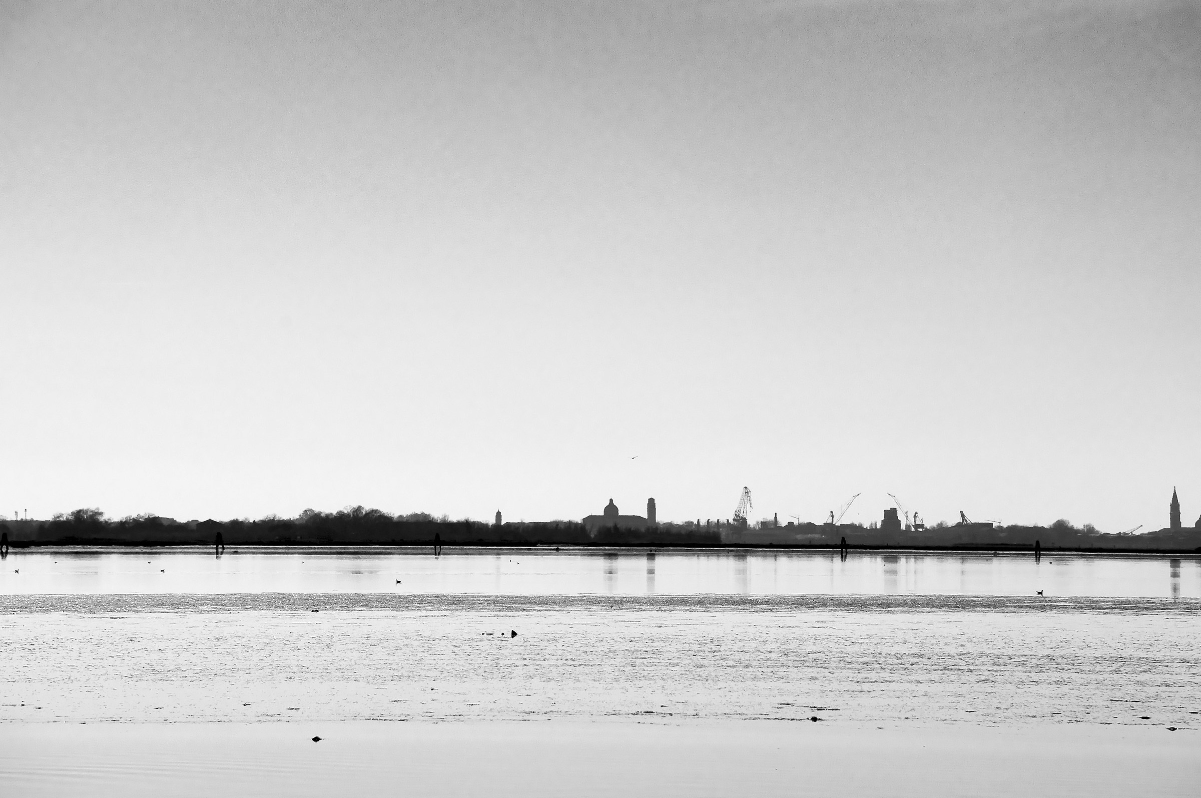 Venetian profile from Burano