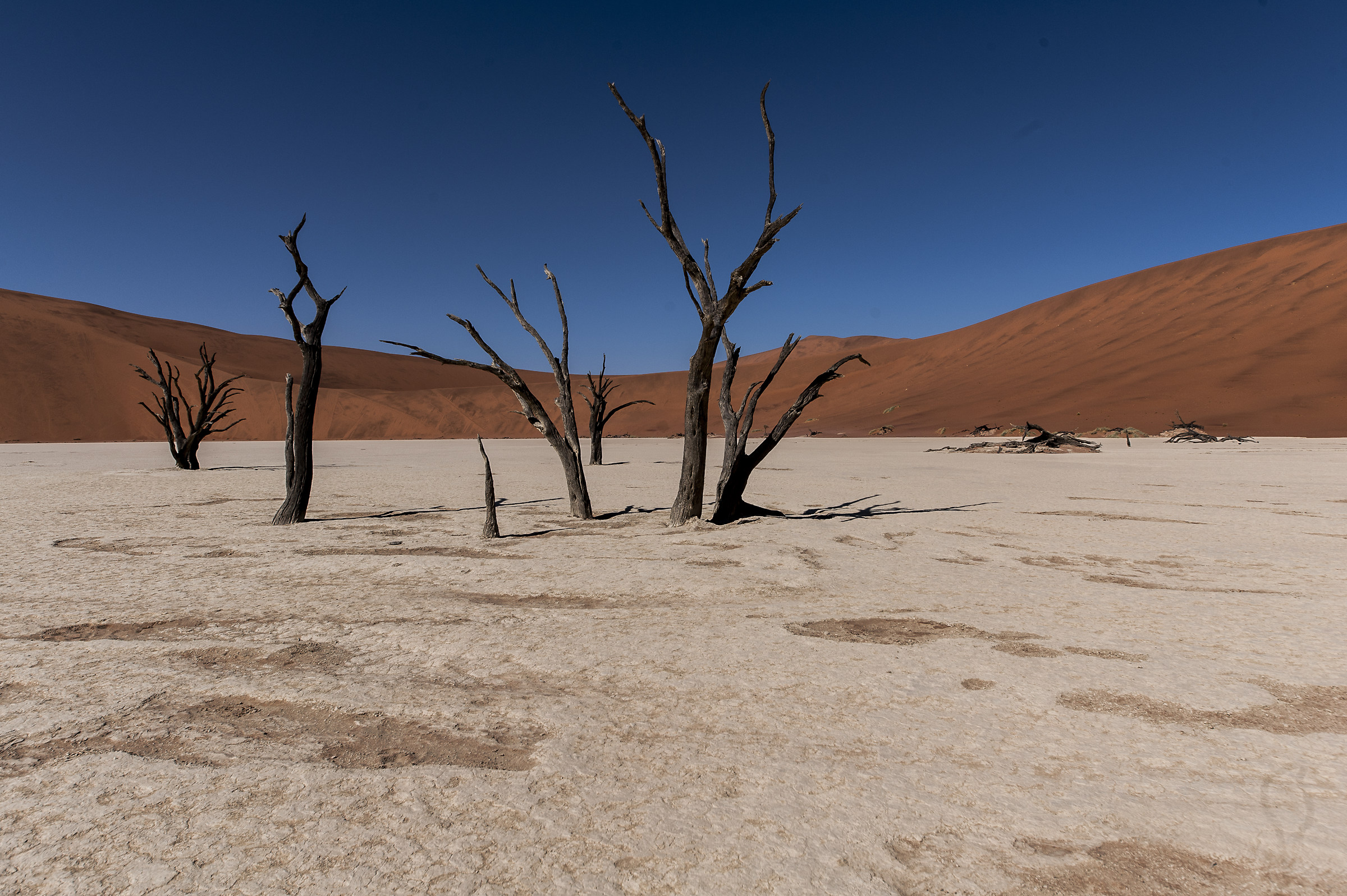Deadvlei