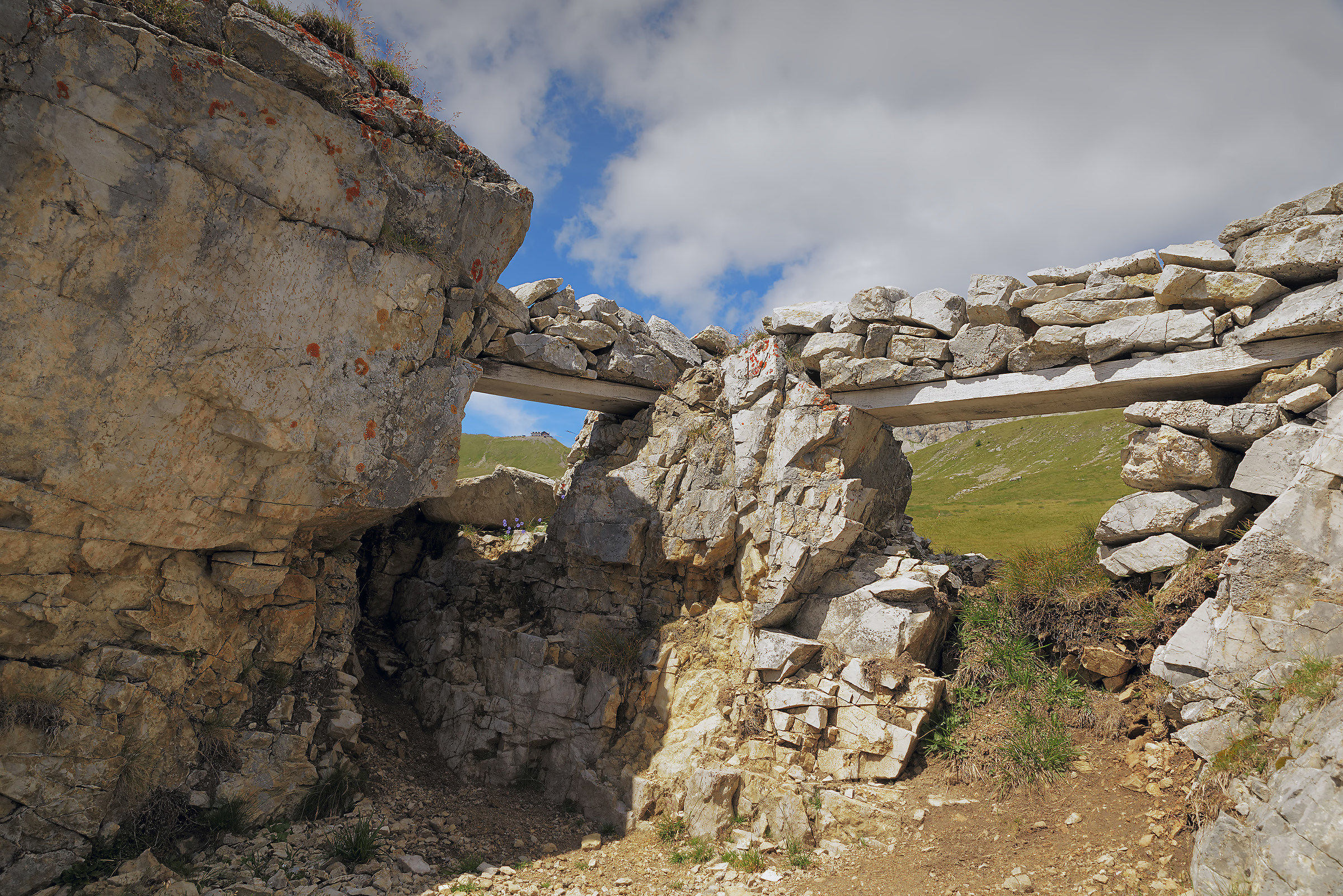 fermi!...attaccano....onore,freddo,coraggio,fame,morte.