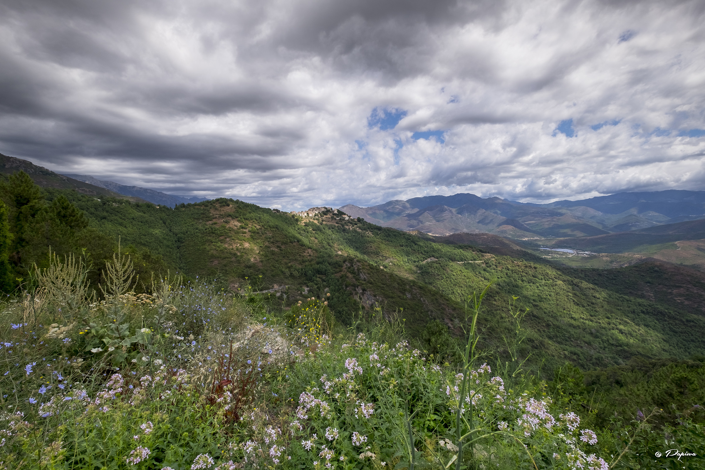 Parco Regionale della Corsica