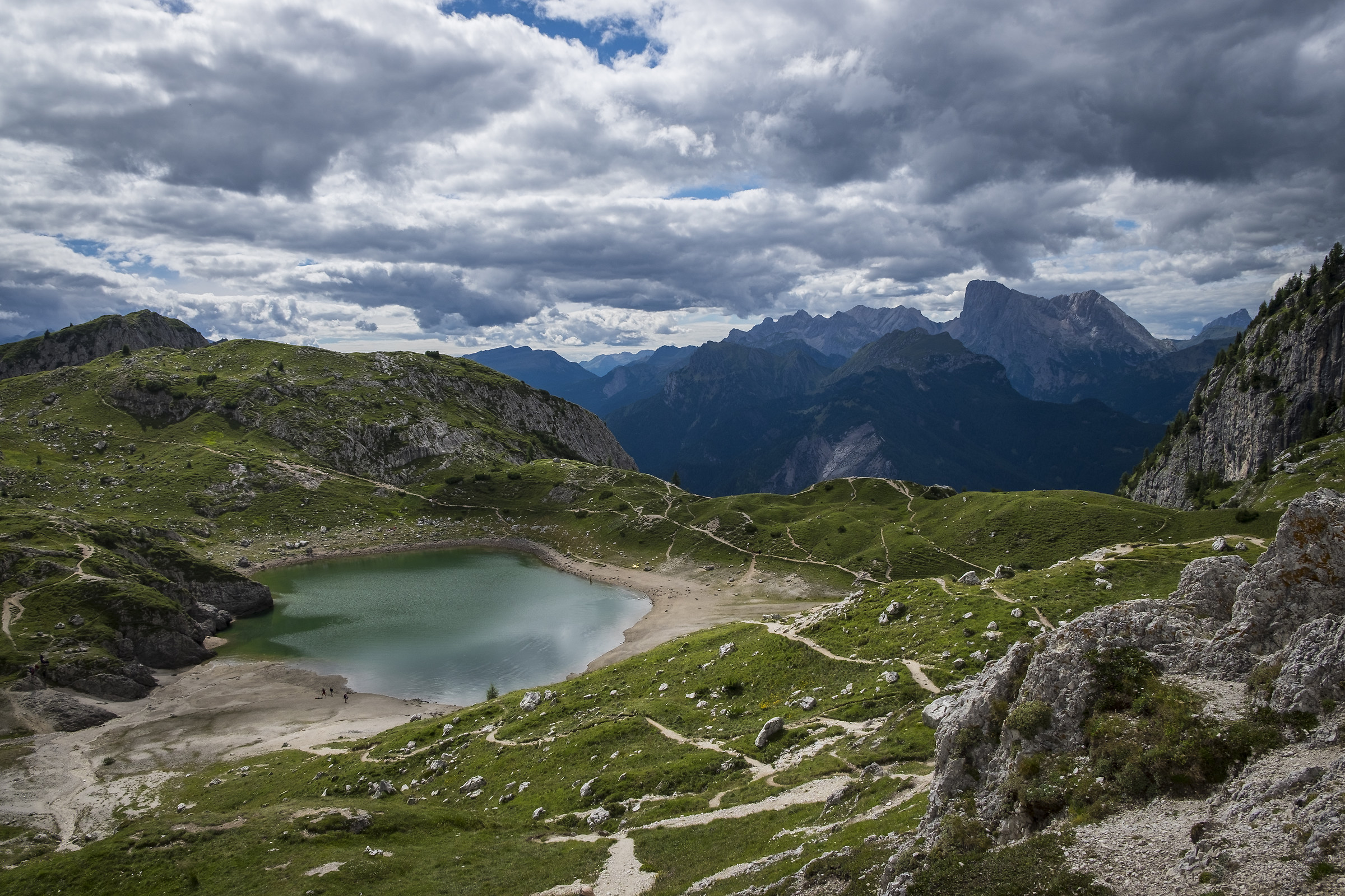 Semplicemente Coldai...