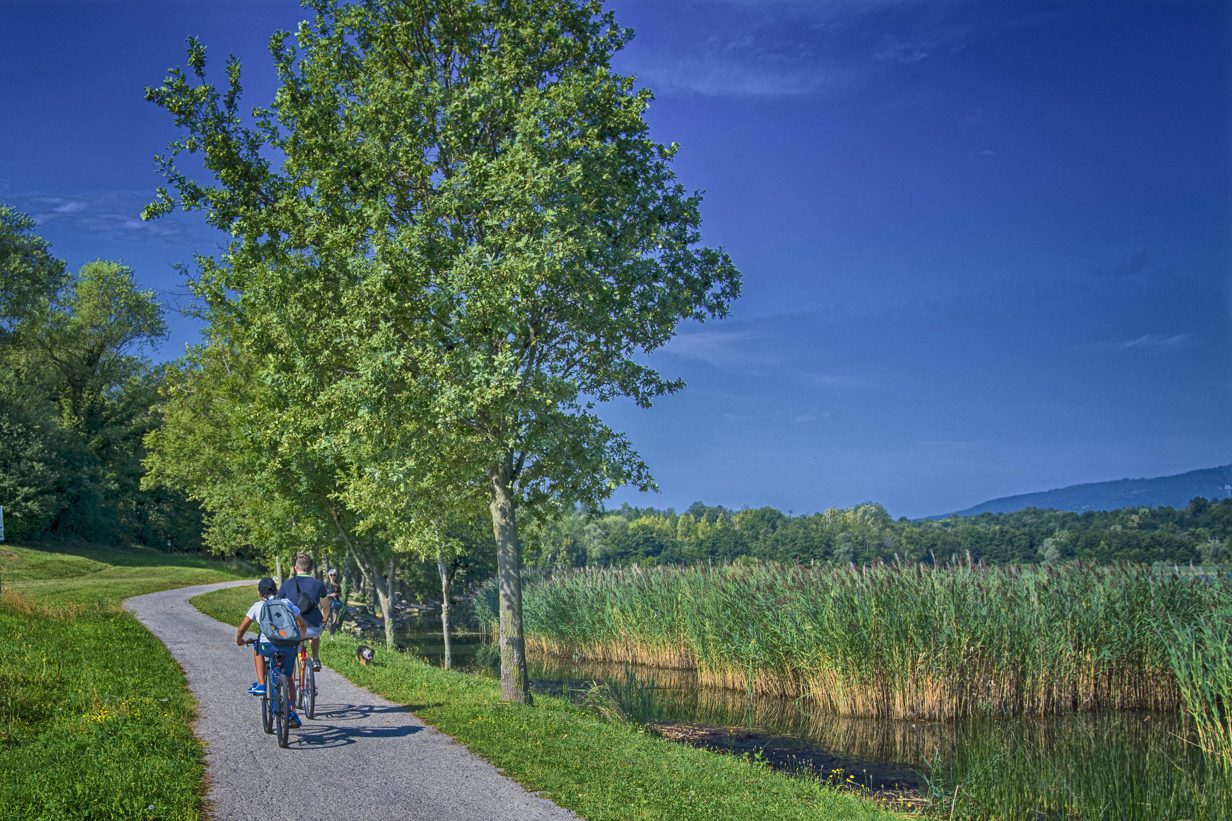 pedalando in bicicletta.....