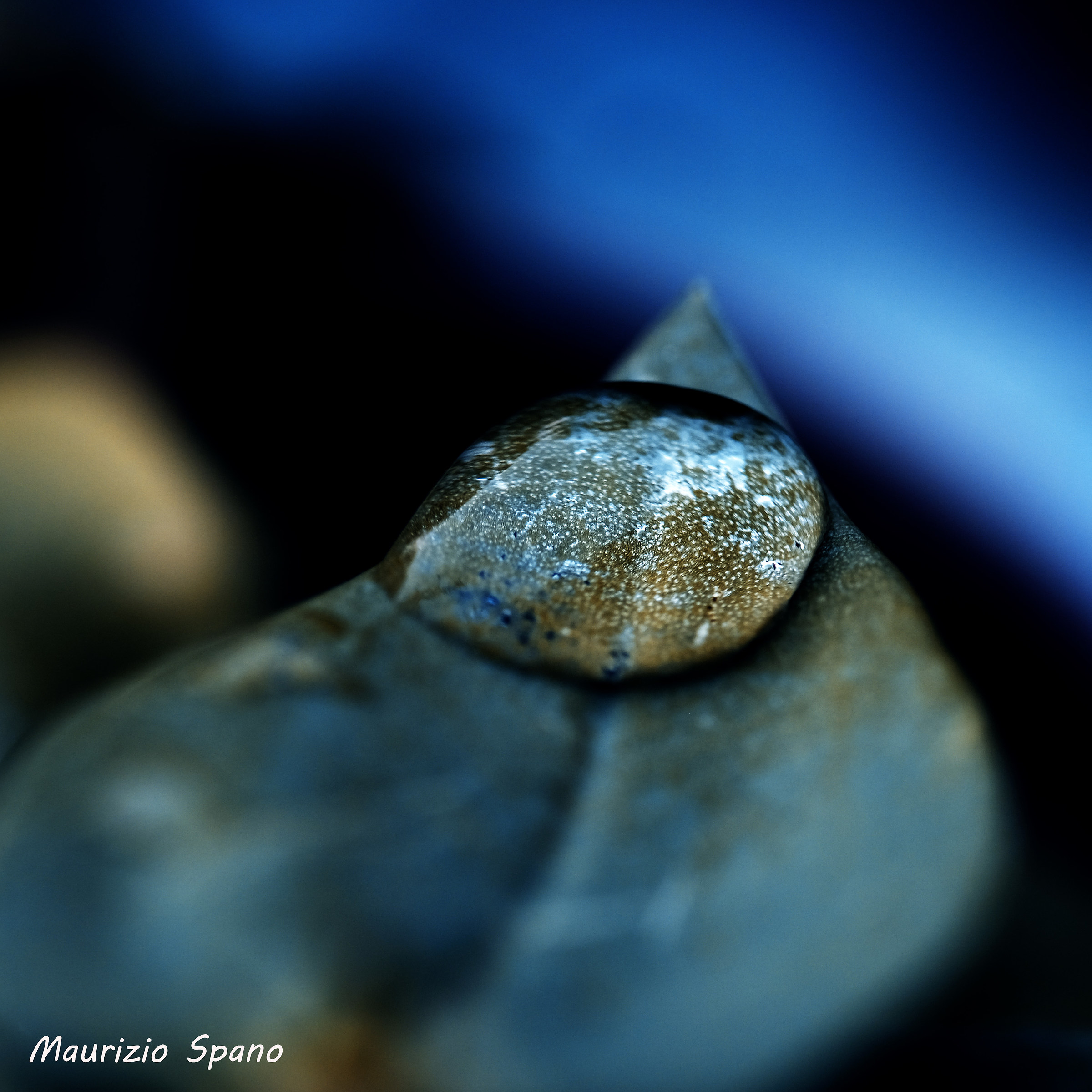 l'equilibrio di una goccia...