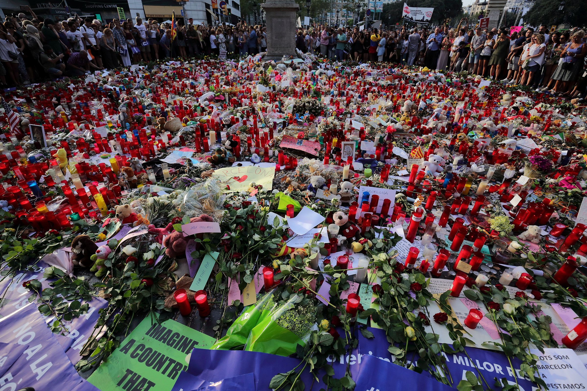 A rose for Barcelona