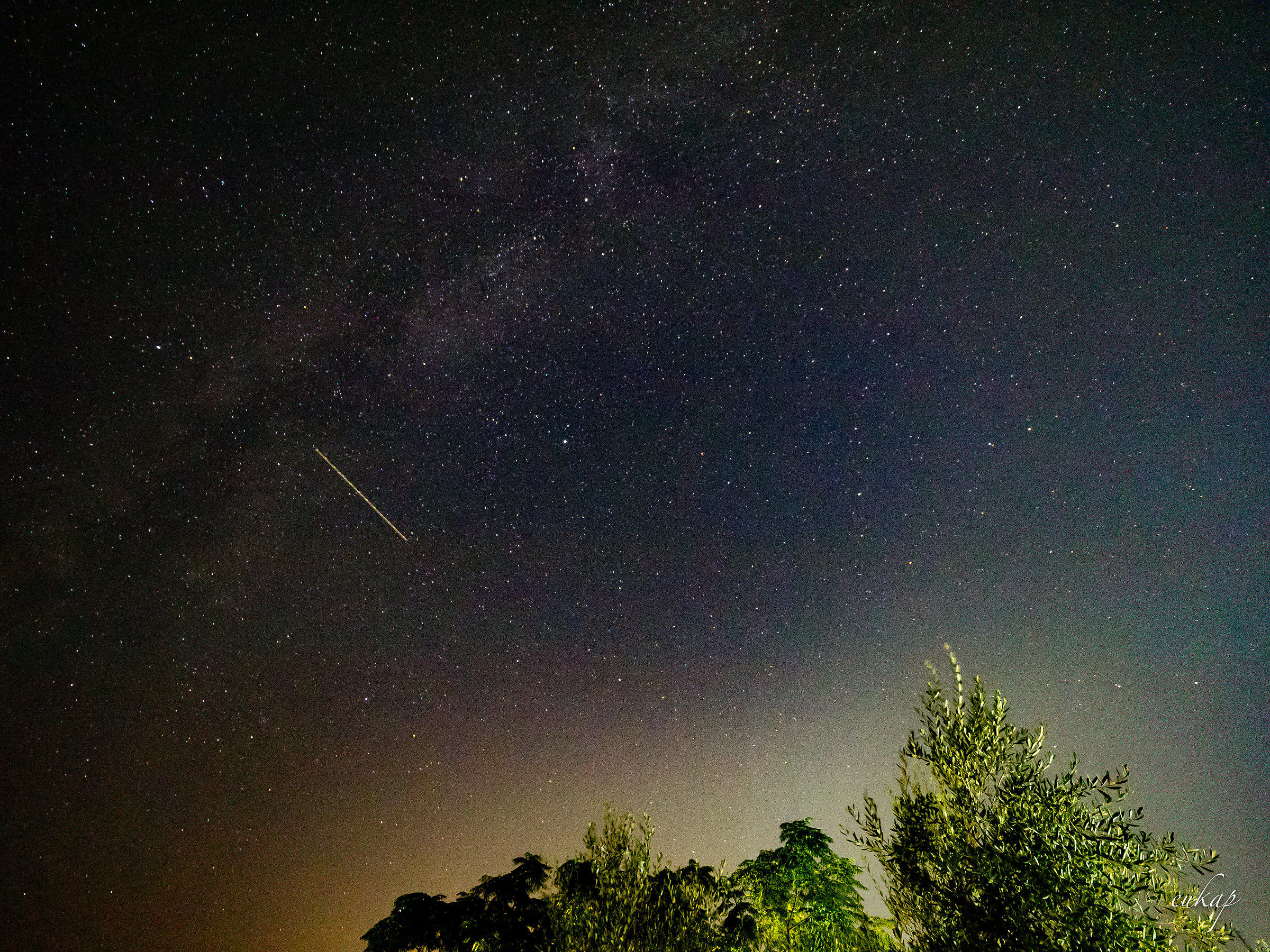 Gli ulivi e le stelle