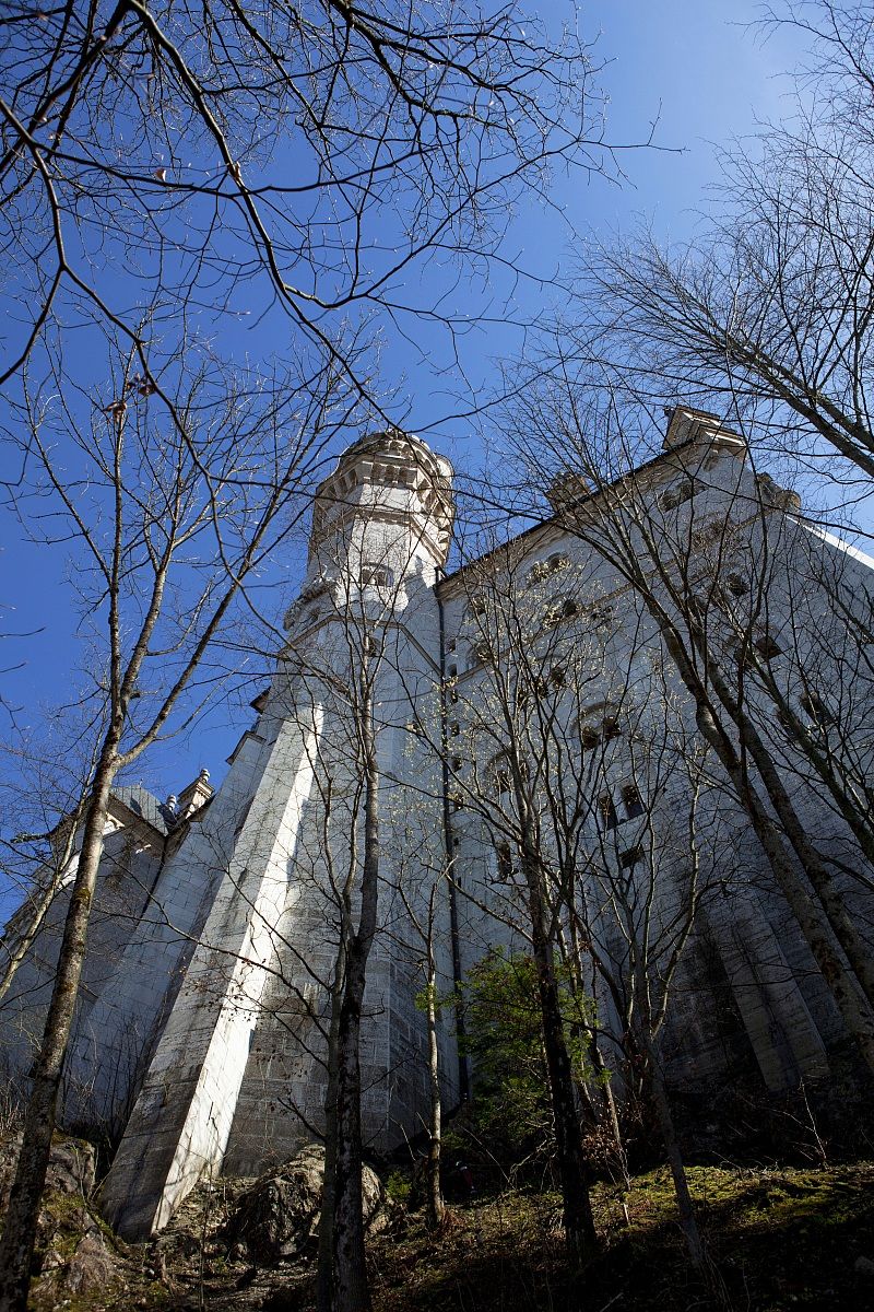 Castello di Neuschwanstein dal bosco sottostante
