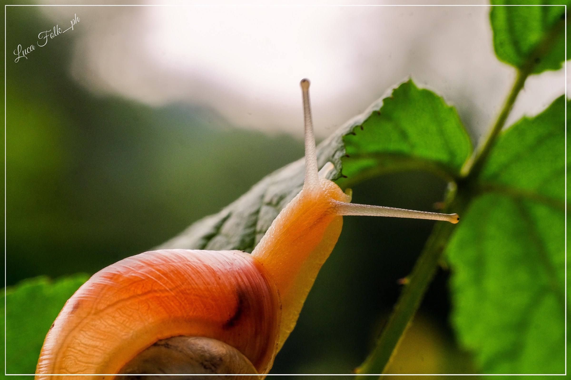 Exploring a new day's light