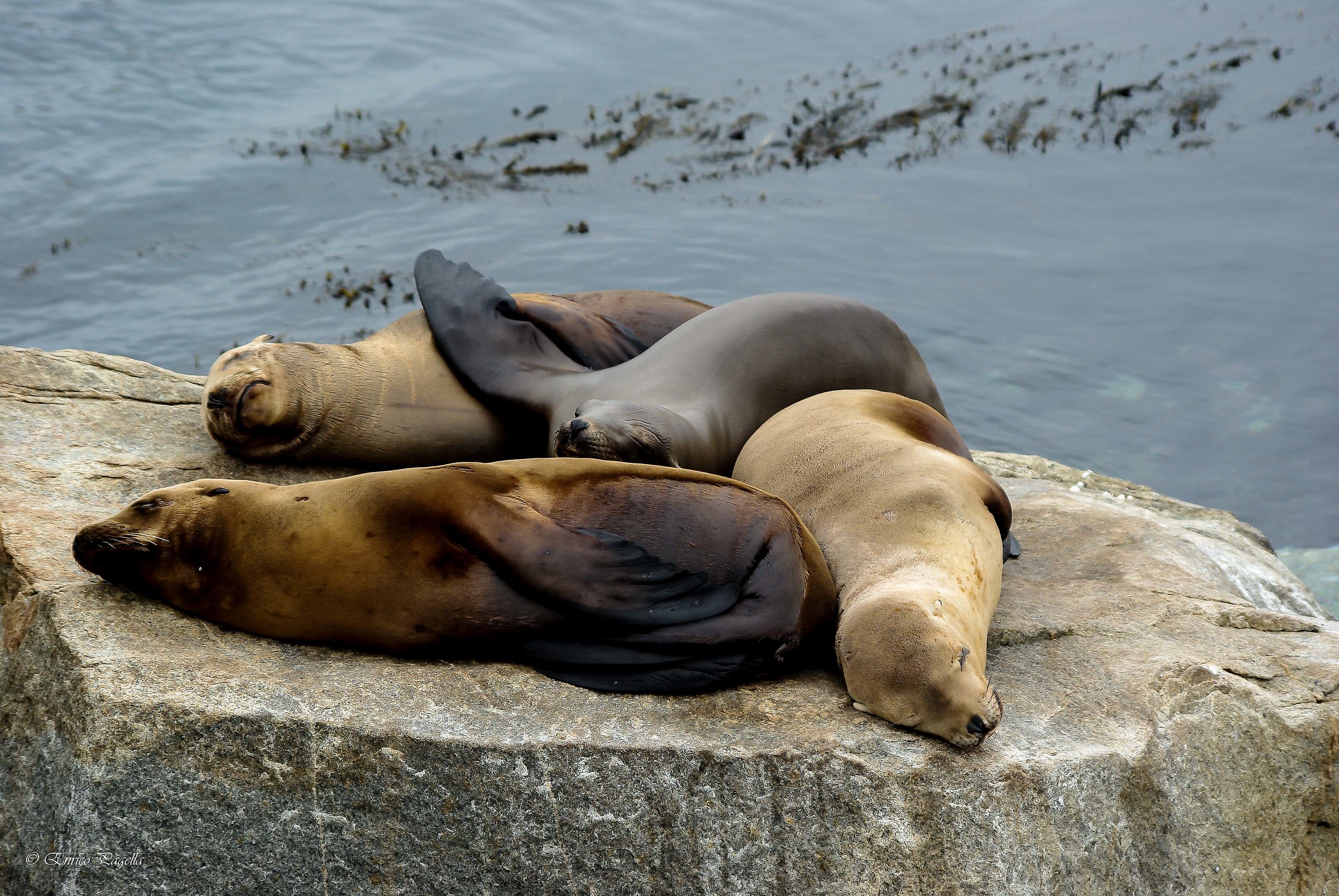 An exaggerated sleep !!!!